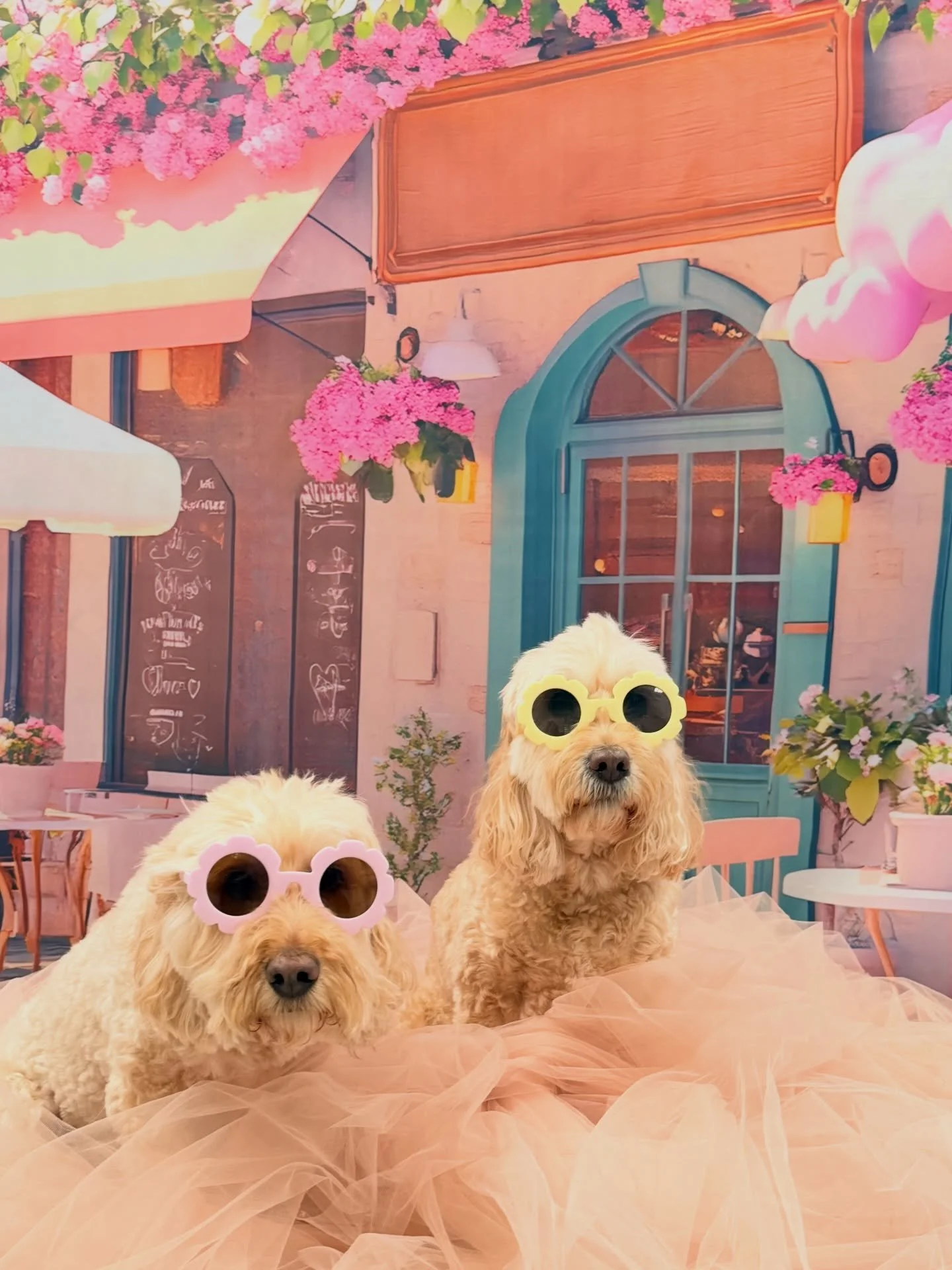 Khloe &amp; Ella 💛