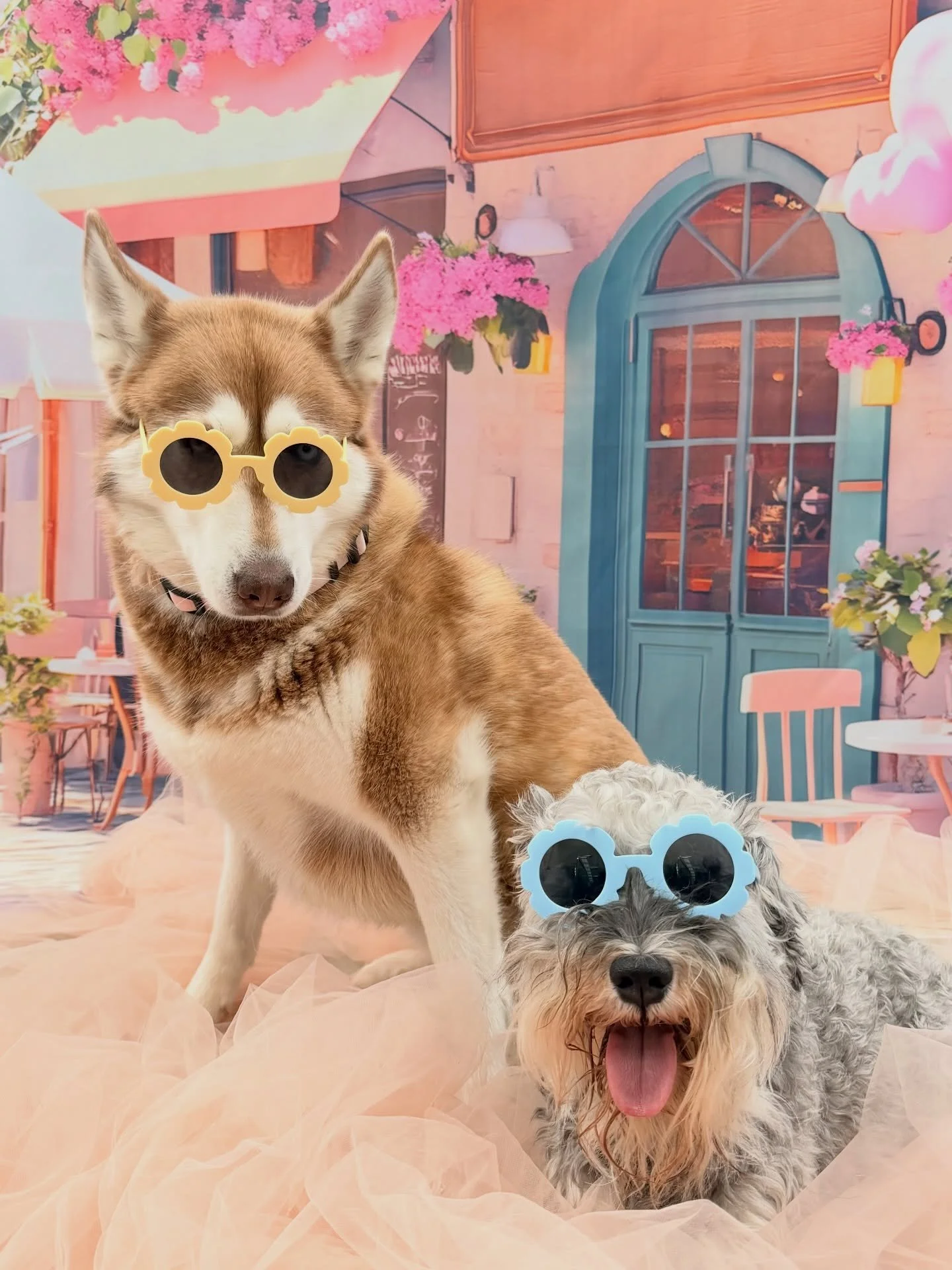 Kloe &amp; Sebastian