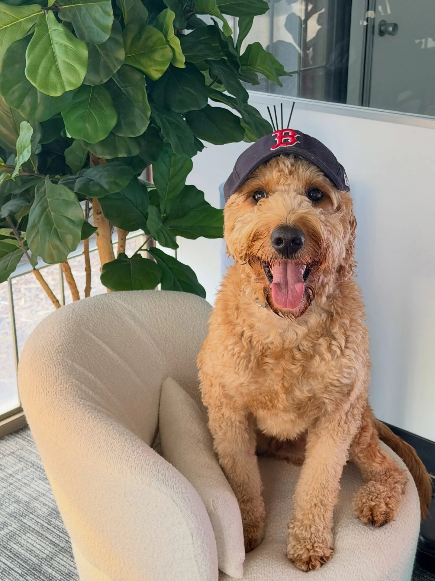 Only cute boys in my office