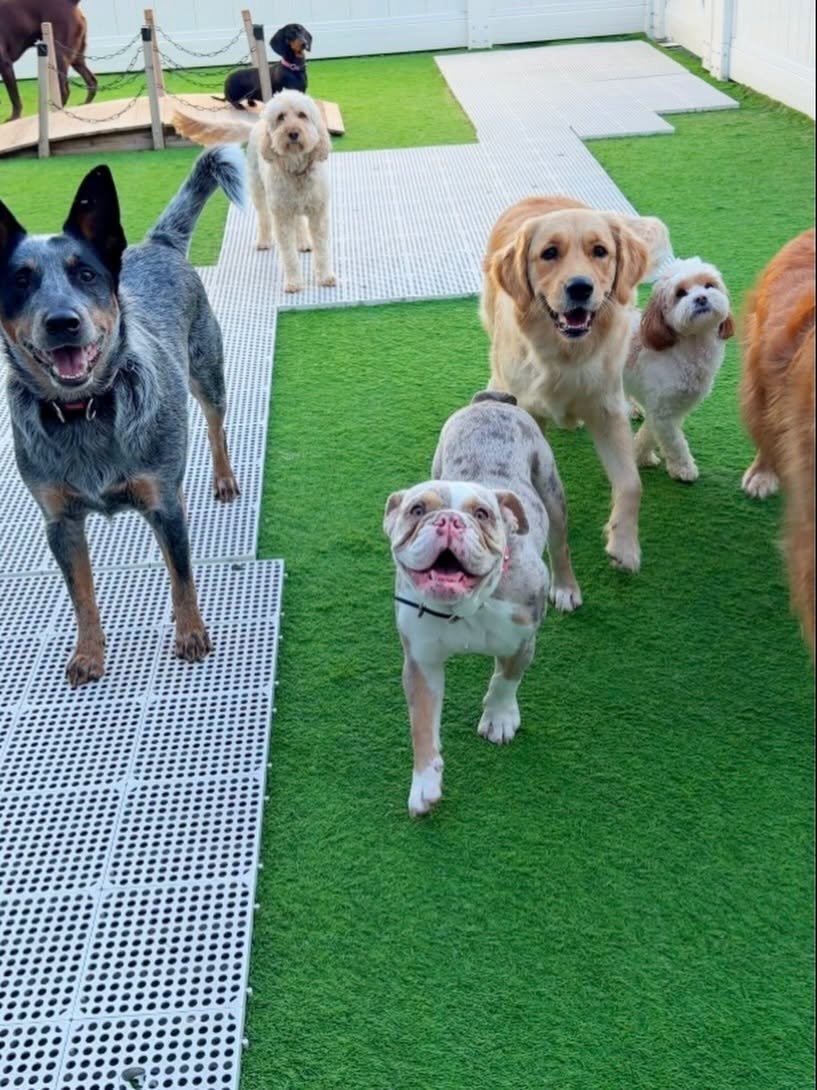 Best friends 🫧🩵