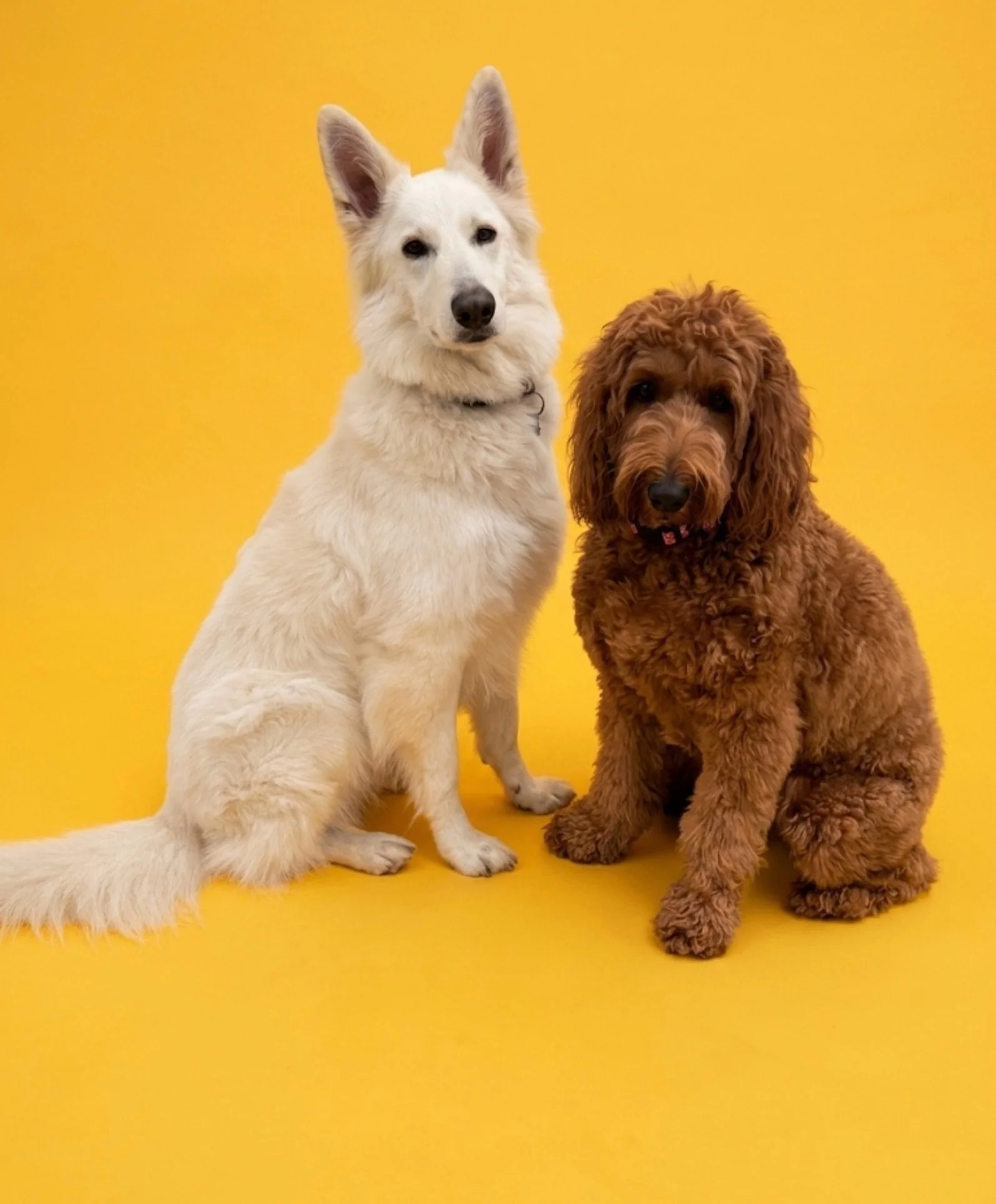 Runa &amp; Nellie