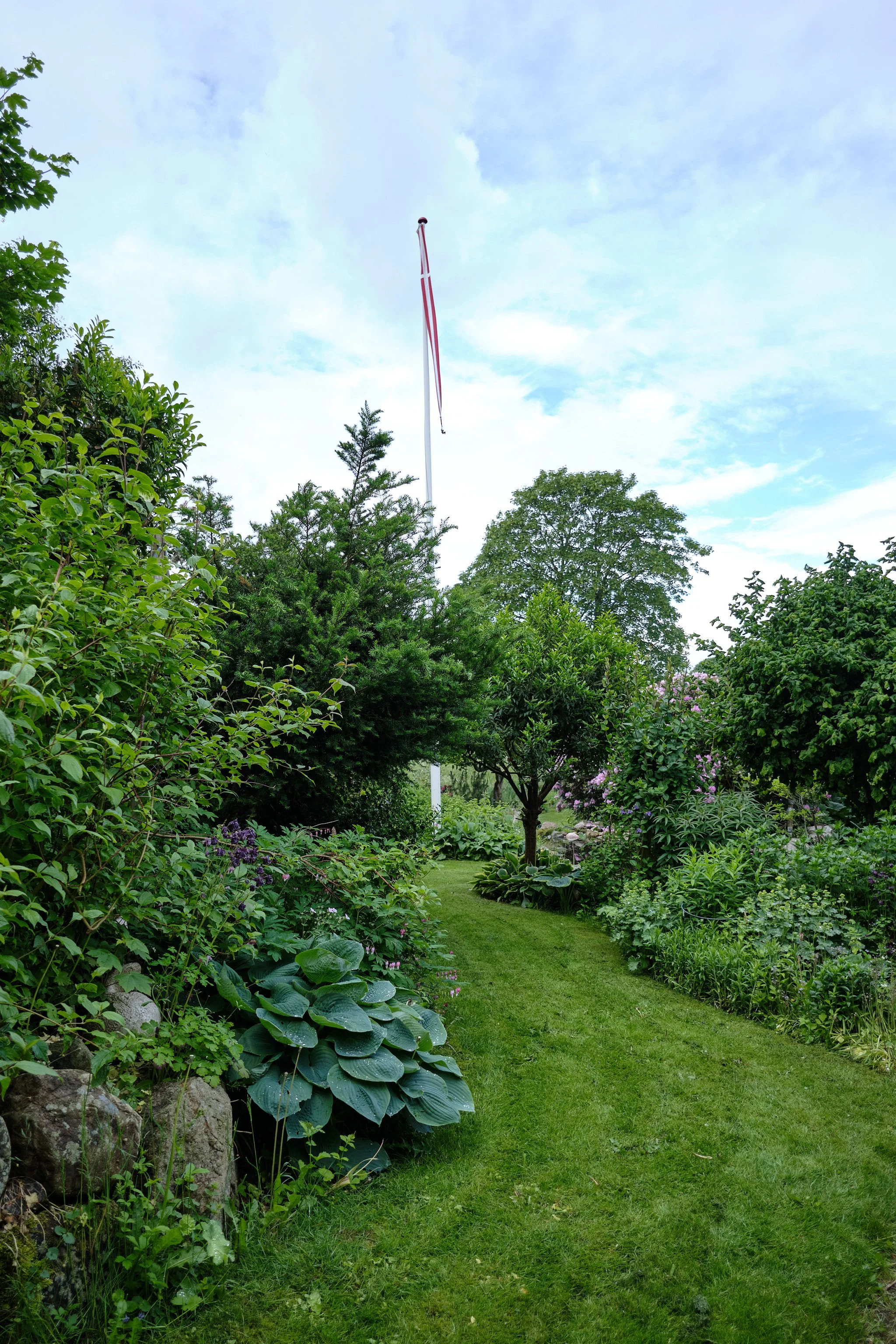 DSCF5453.jpg