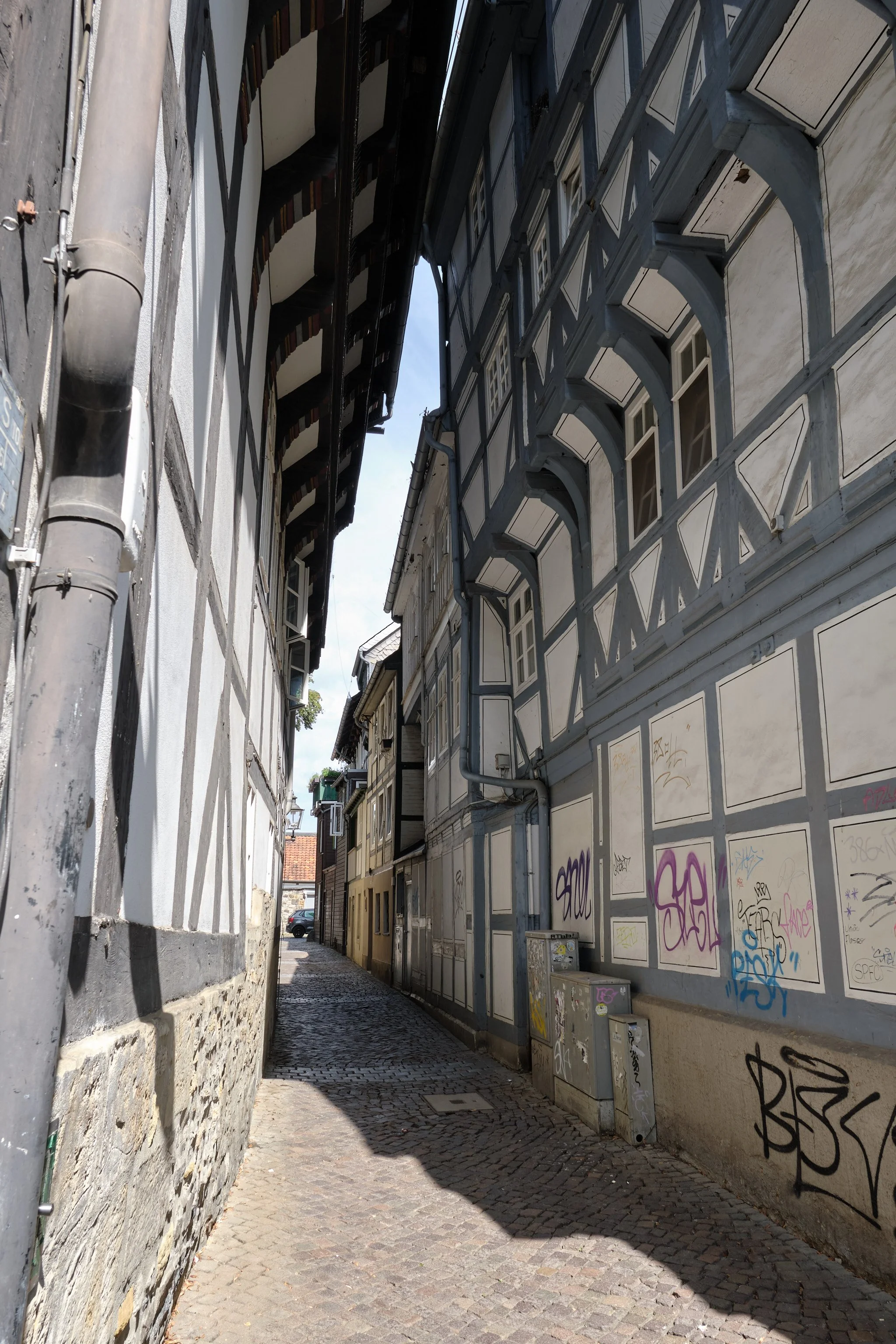 DSCF5649.jpg