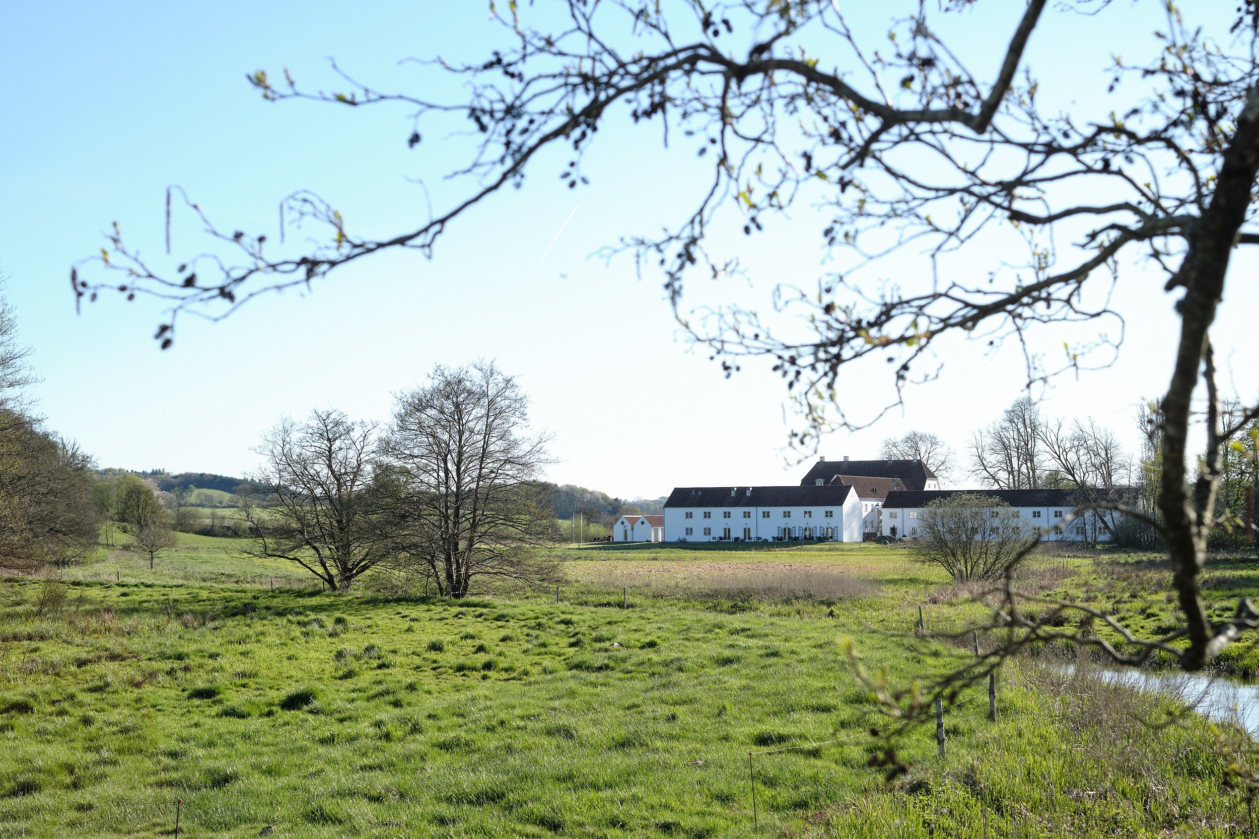 DSCF5040.jpg