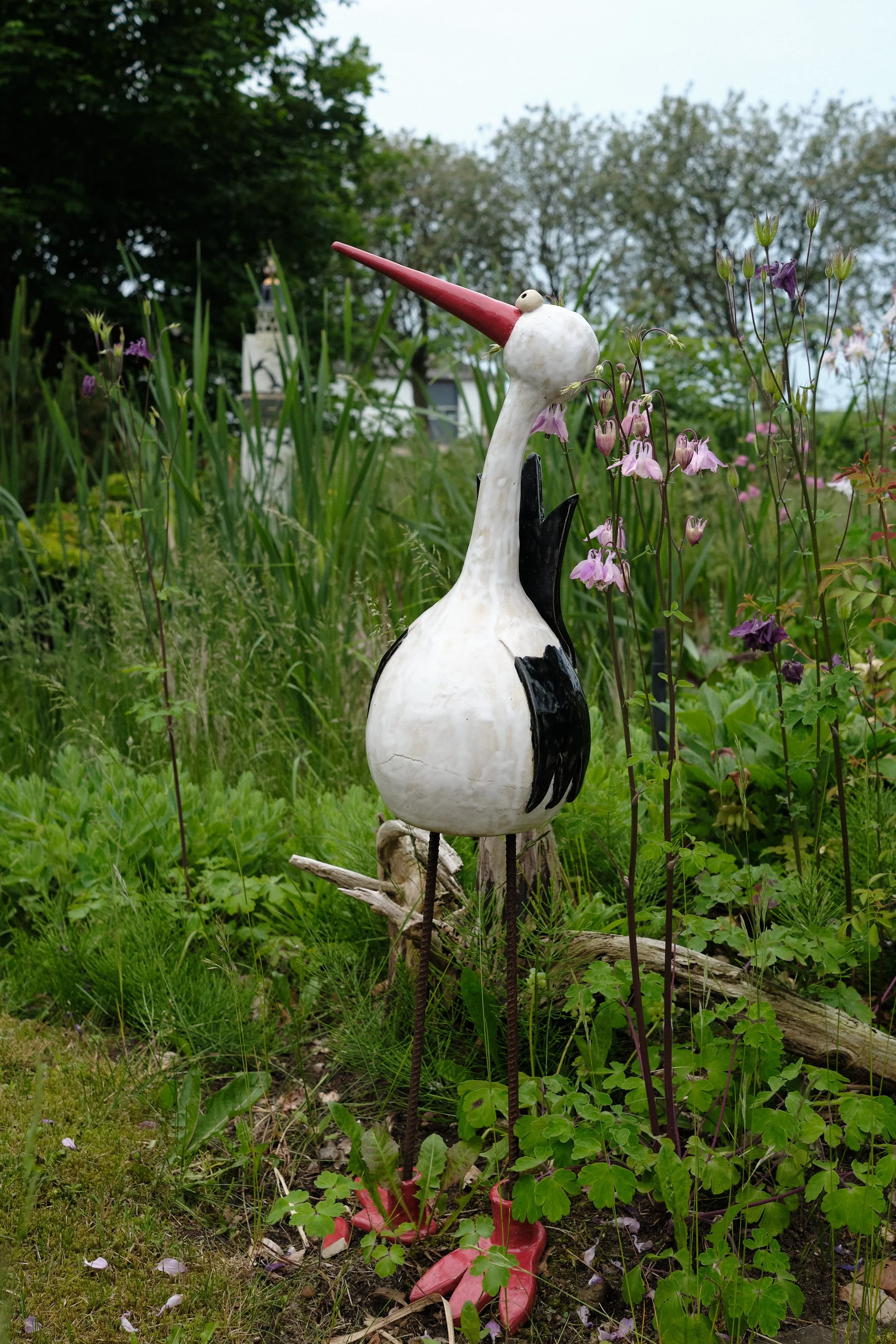 DSCF5466.jpg