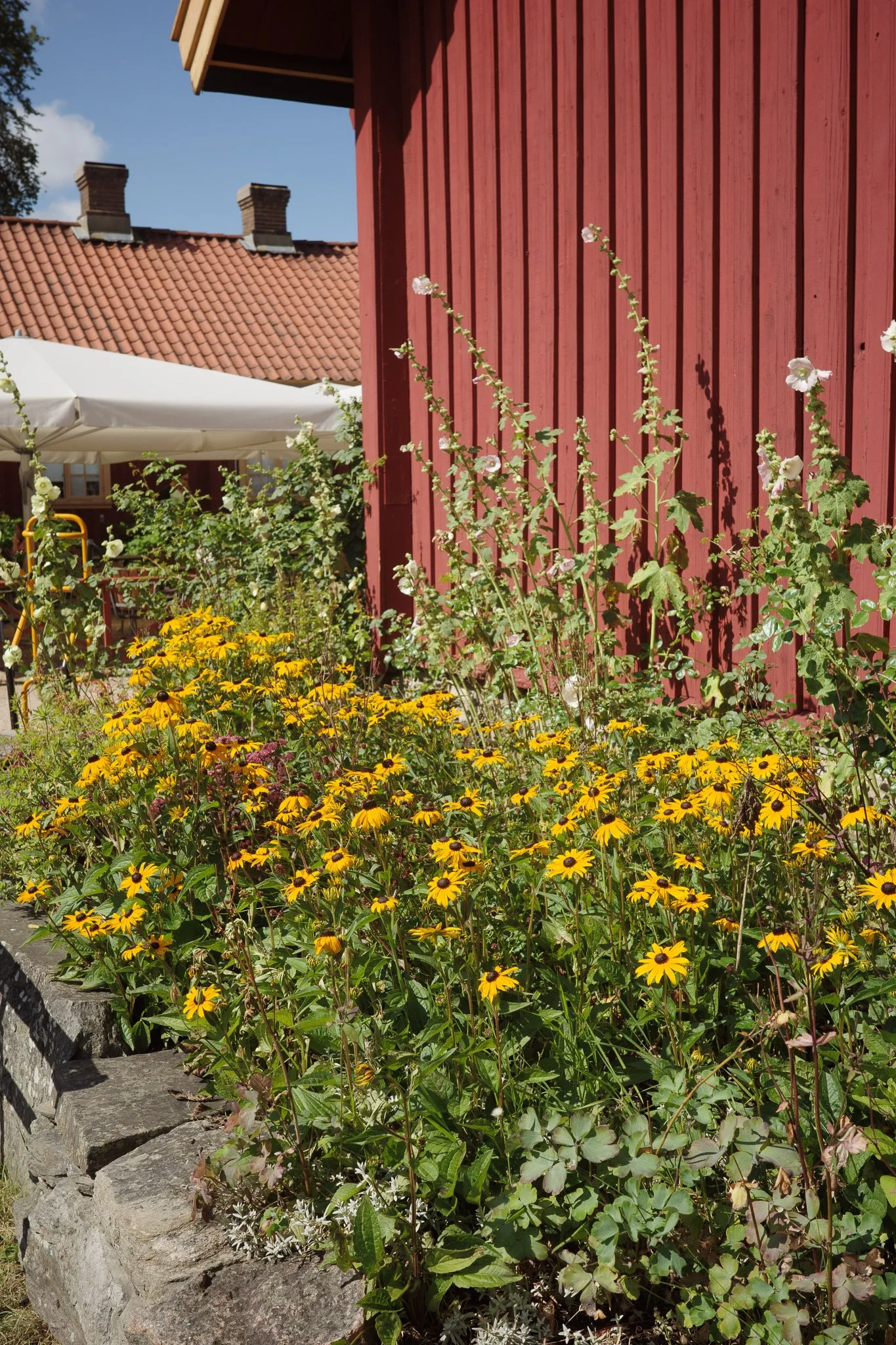 20250730-Sundsby säteri-006-sketches.jpg