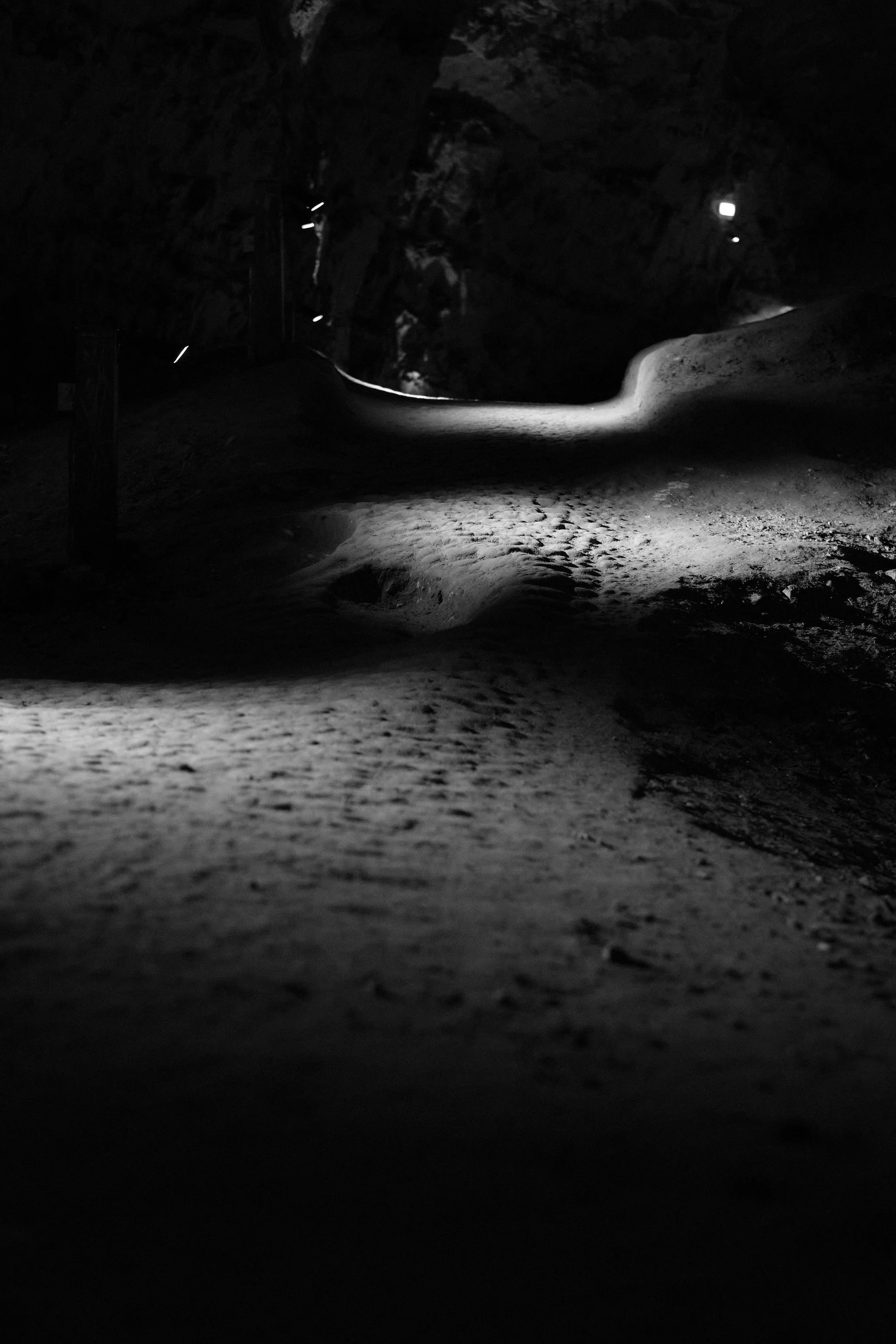 DSCF5835.jpg