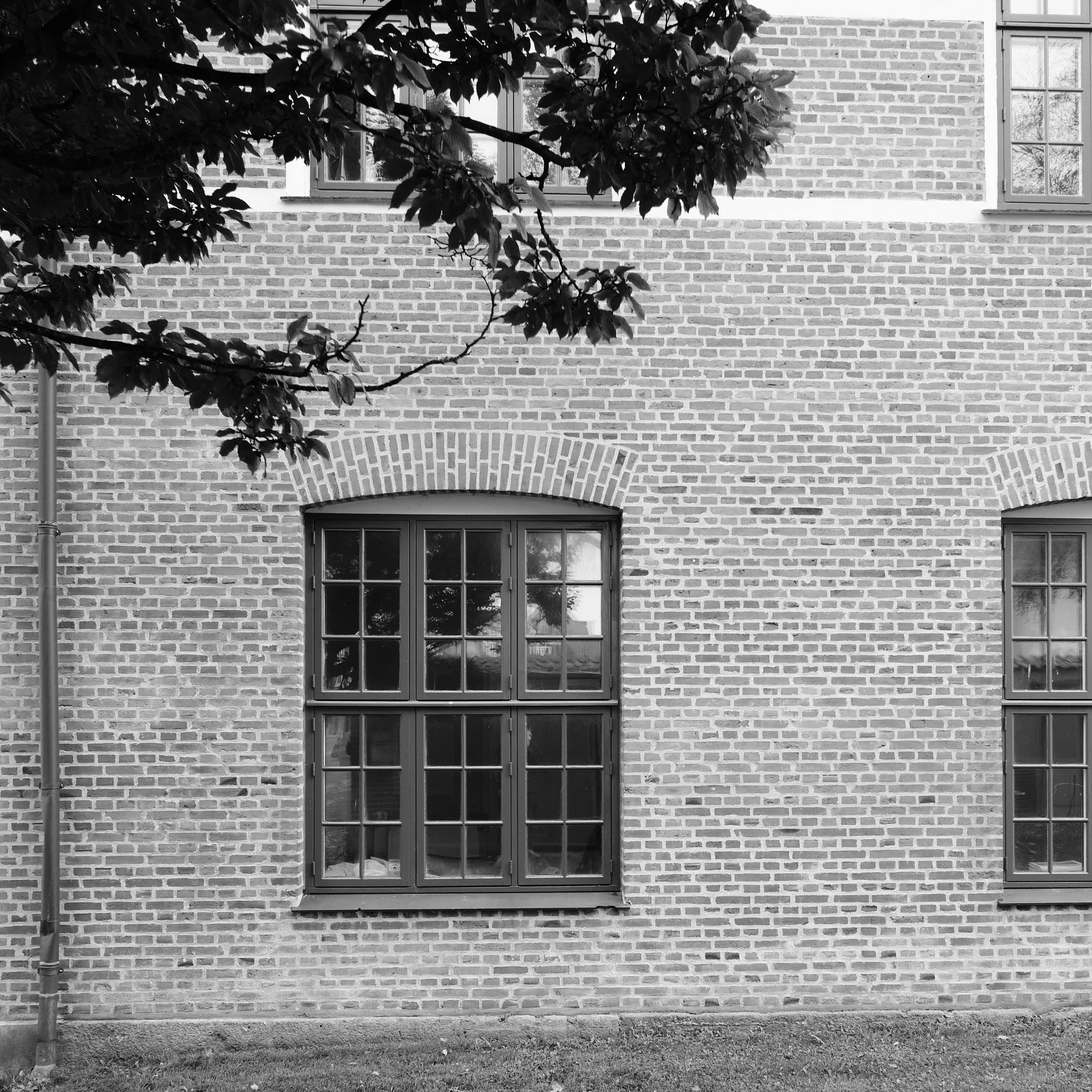 DSCF5773.jpg