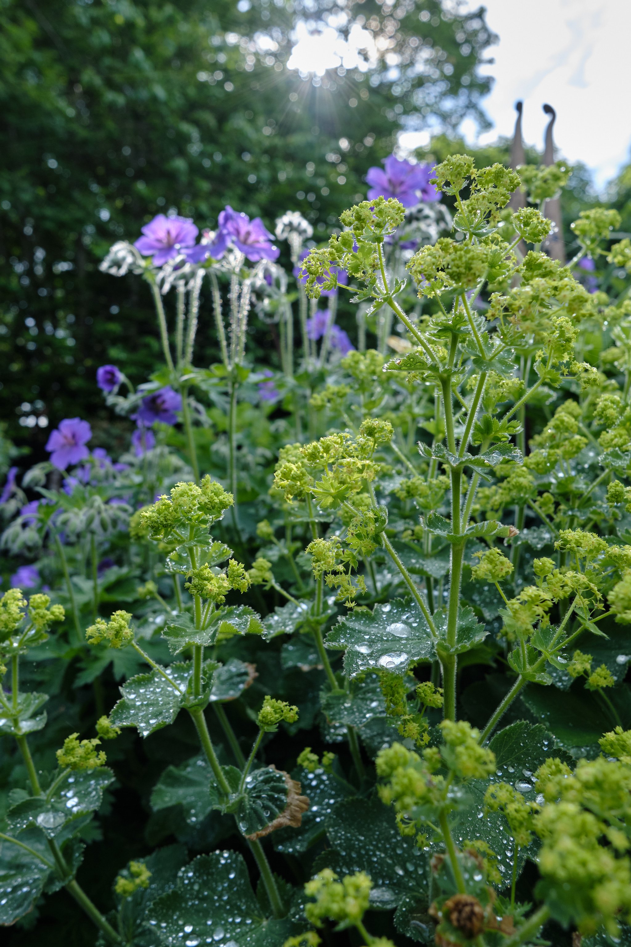DSCF5433.jpg