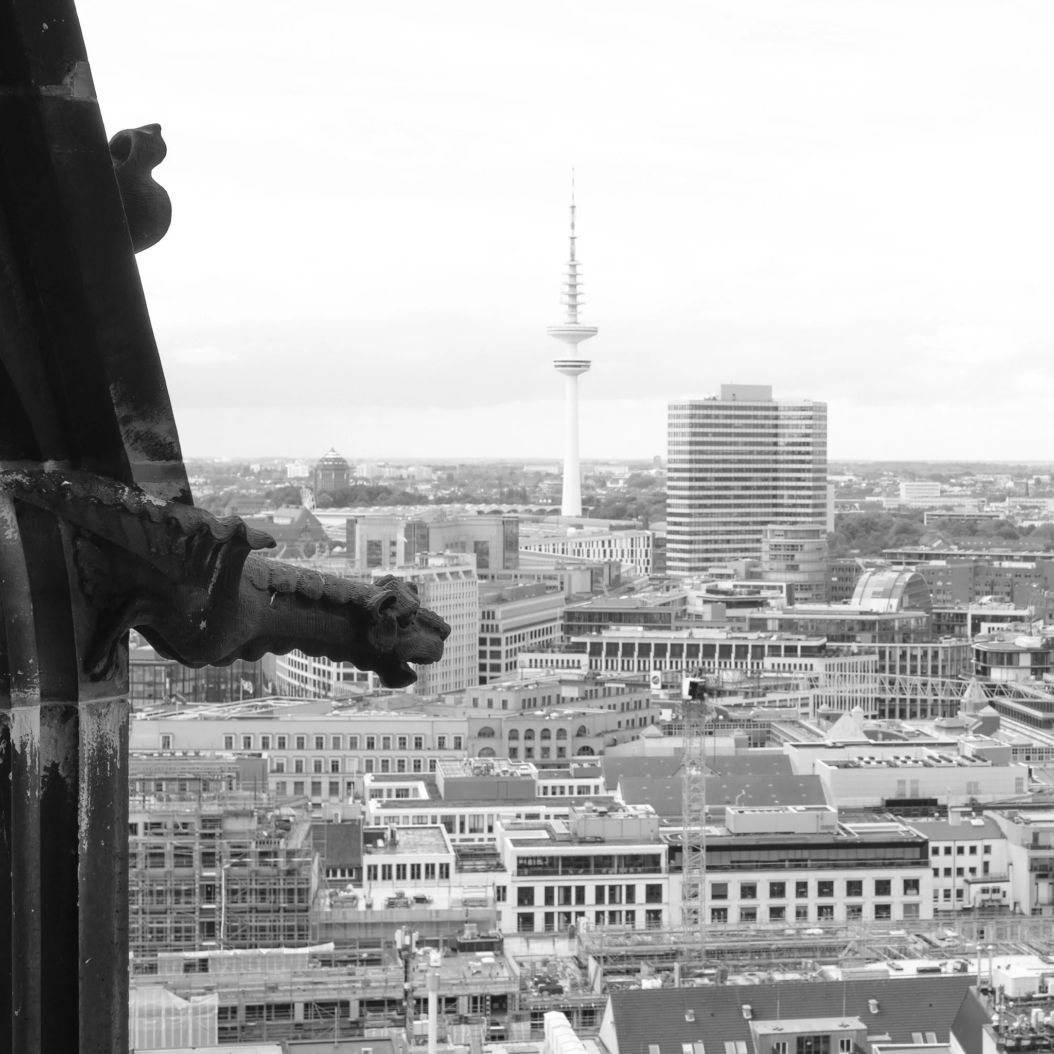 DSCF5248.jpg