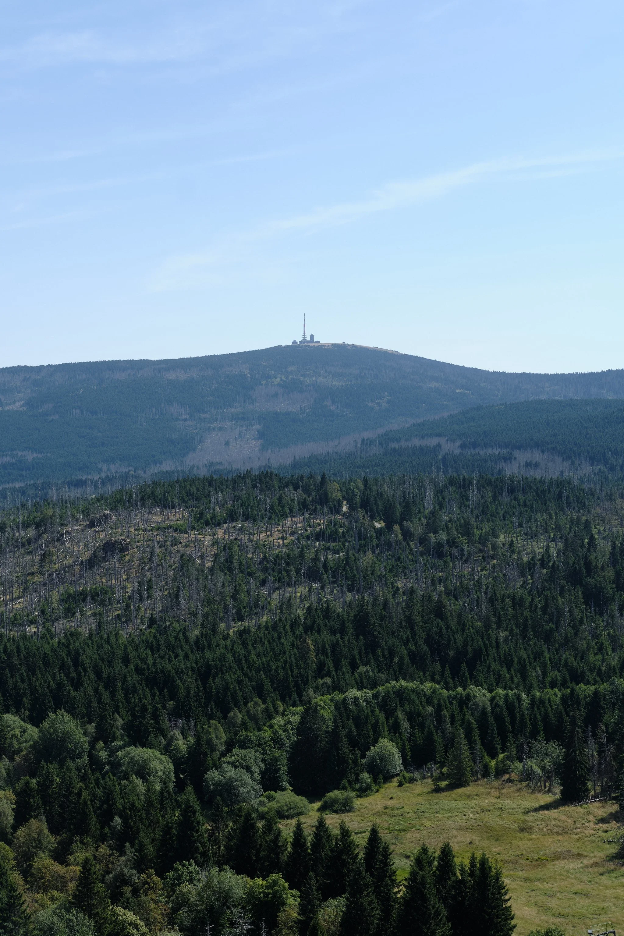 DSCF5594.jpg