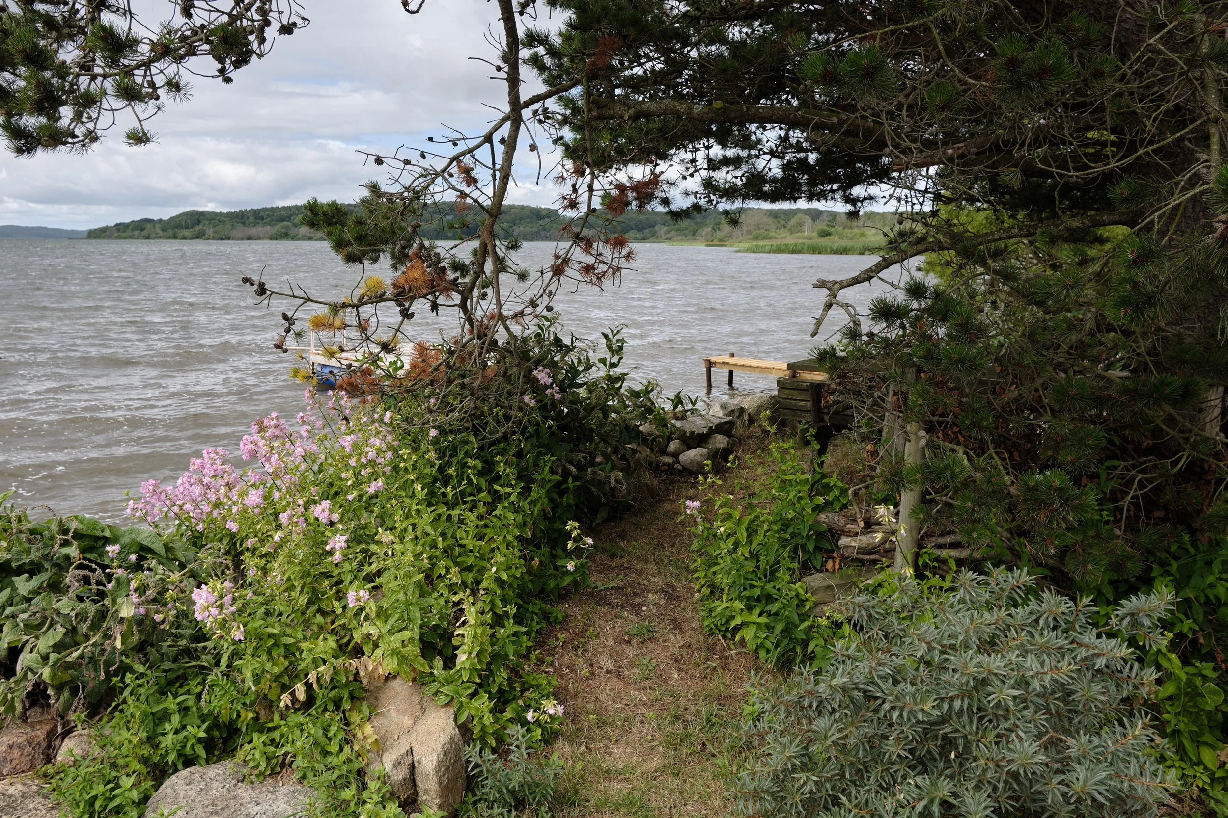 DSCF5496.jpg