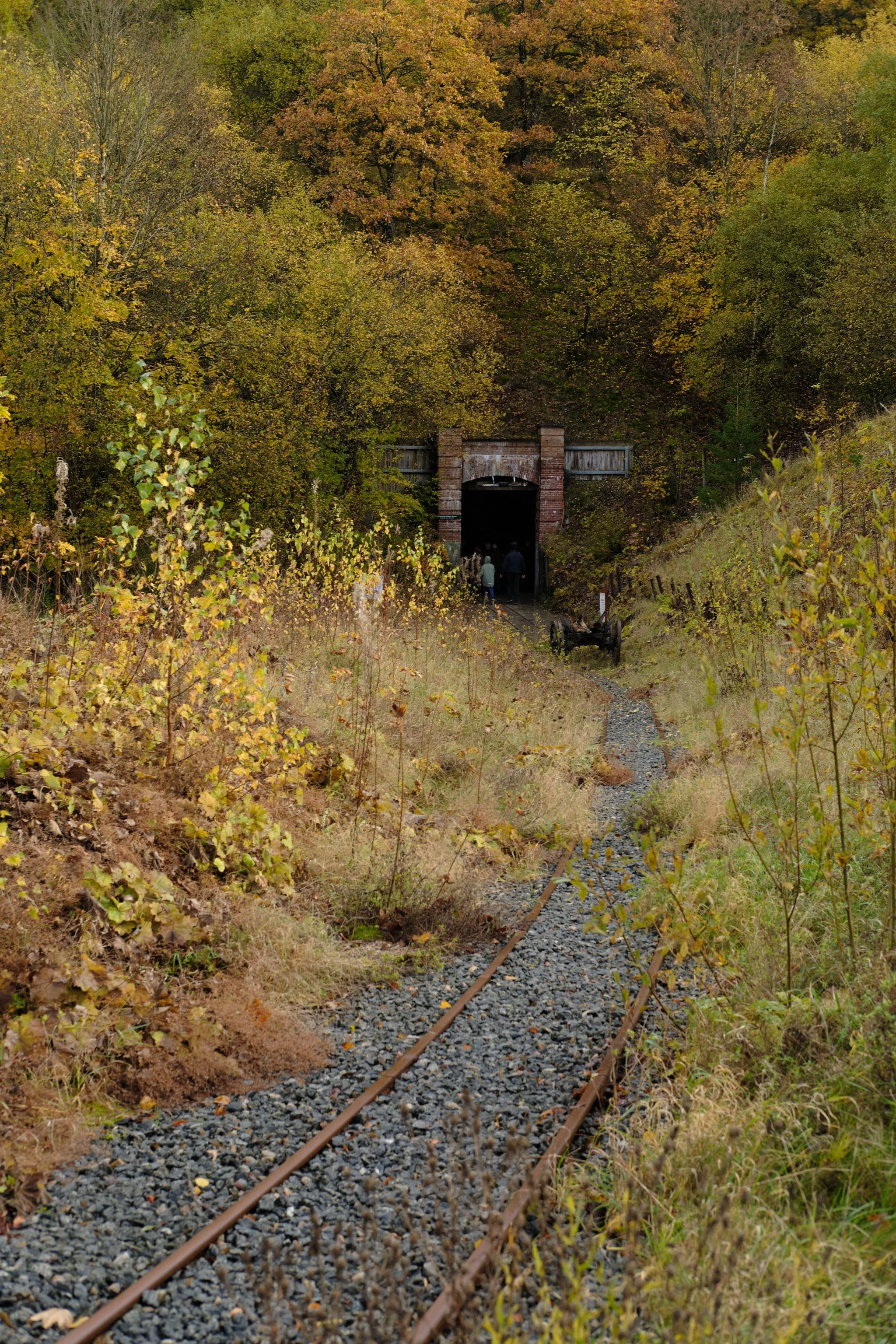 DSCF5864.jpg