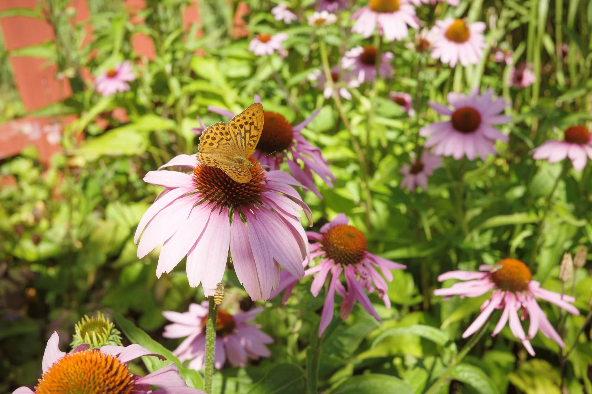 20250730-Sundsby säteri-019-sketches.jpg