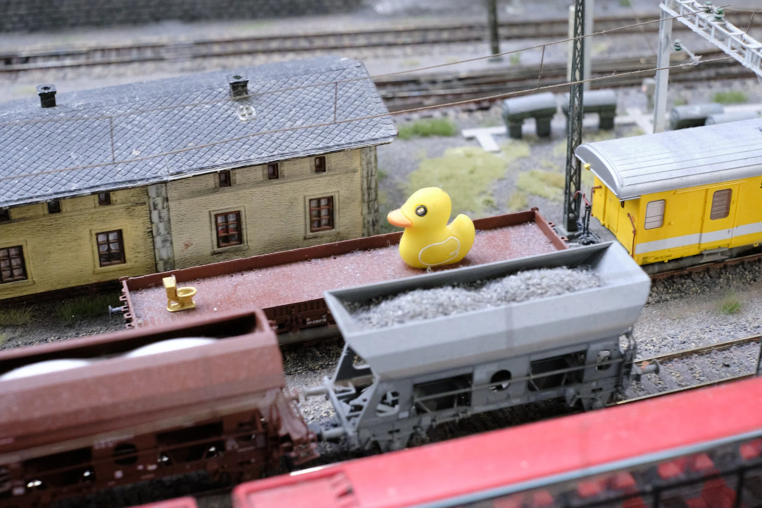 DSCF5313.jpg