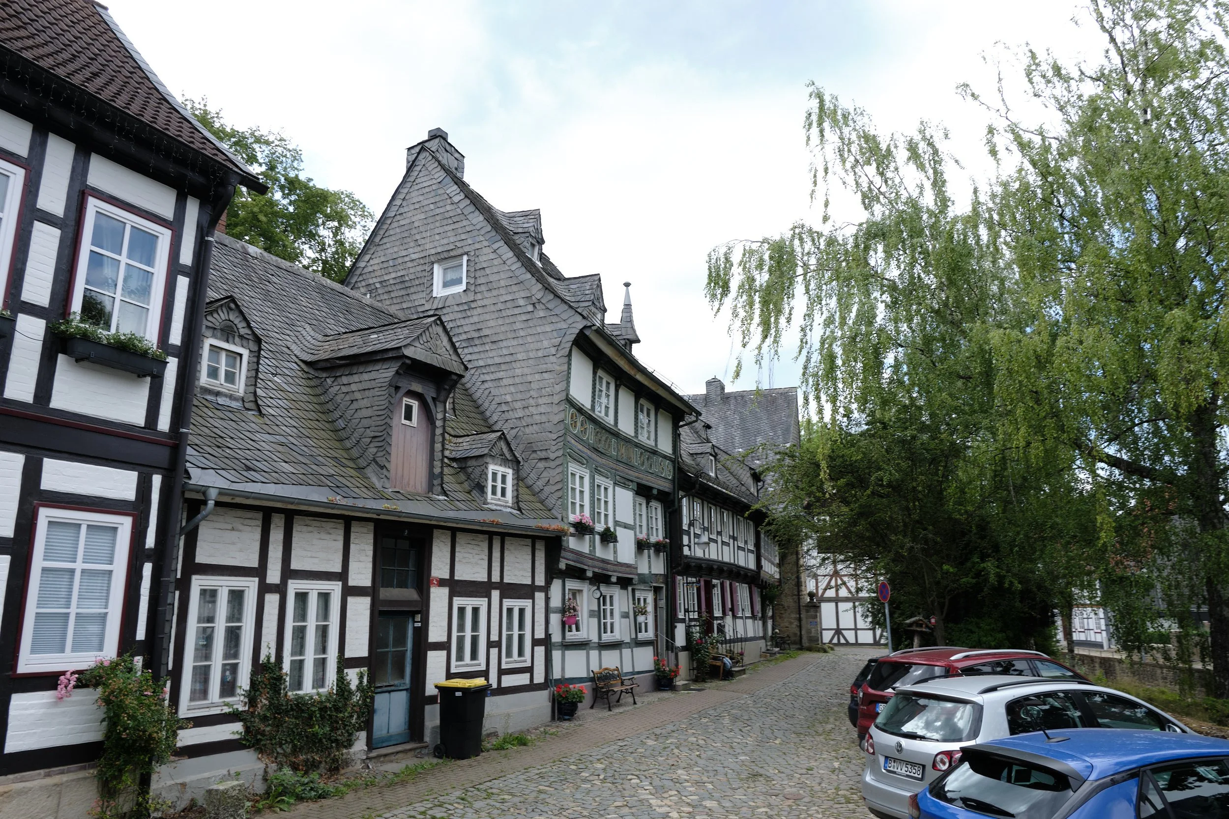 DSCF5675.jpg
