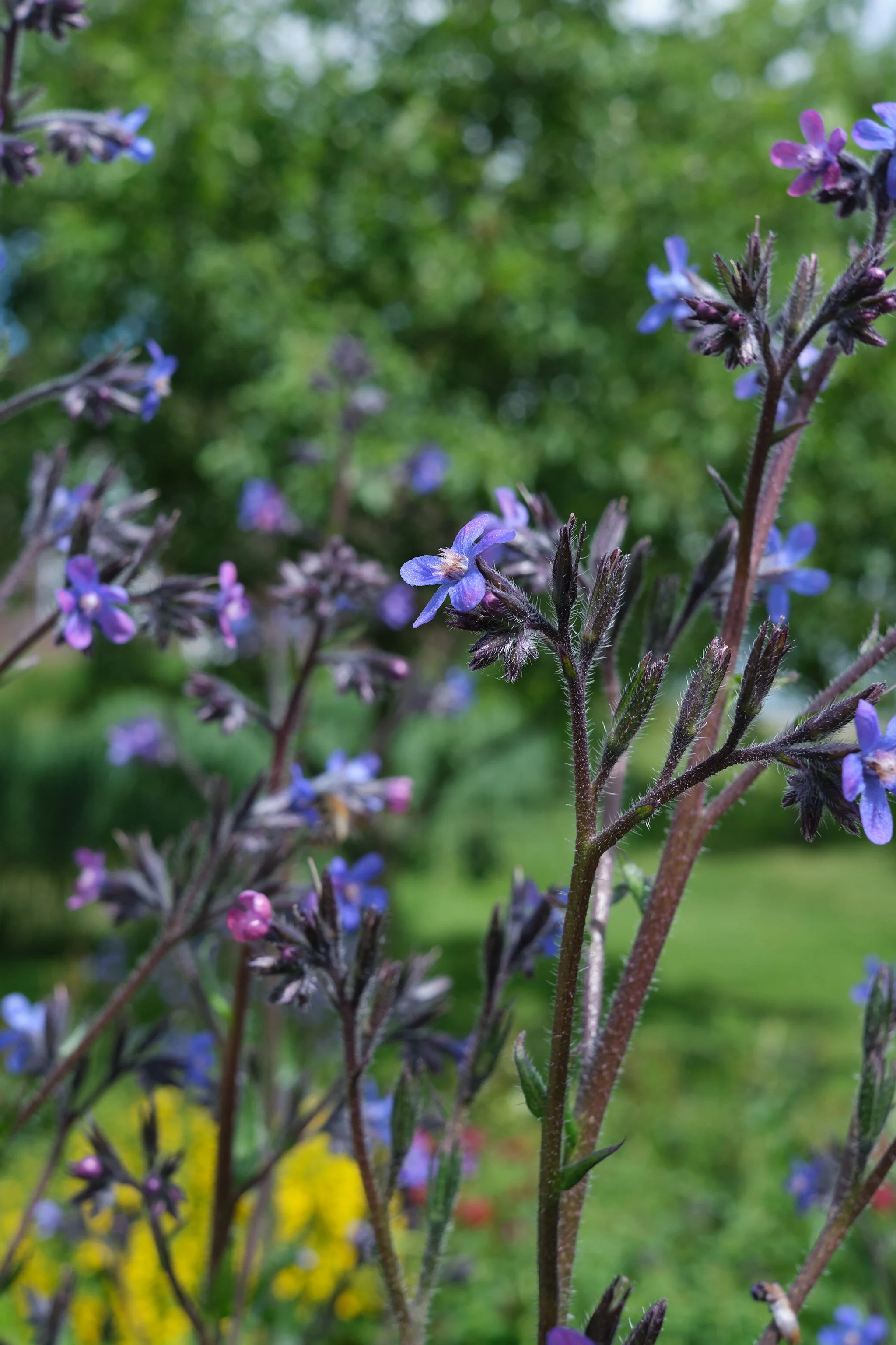 DSCF9398.jpg