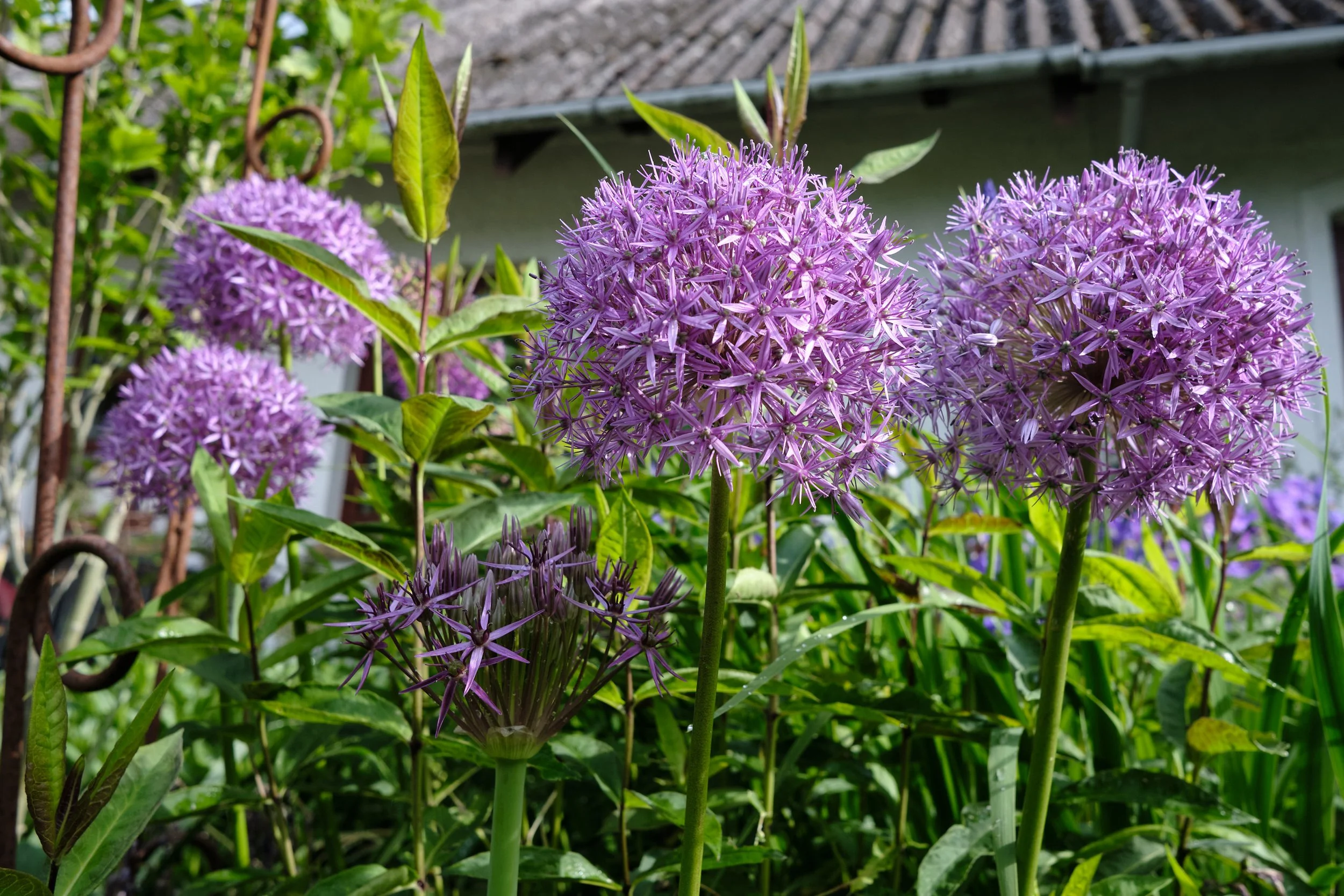 DSCF5438.jpg