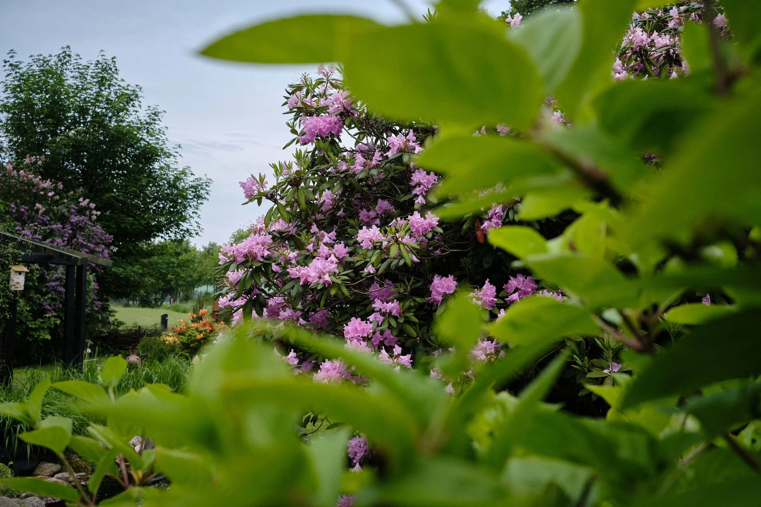 DSCF5473.jpg