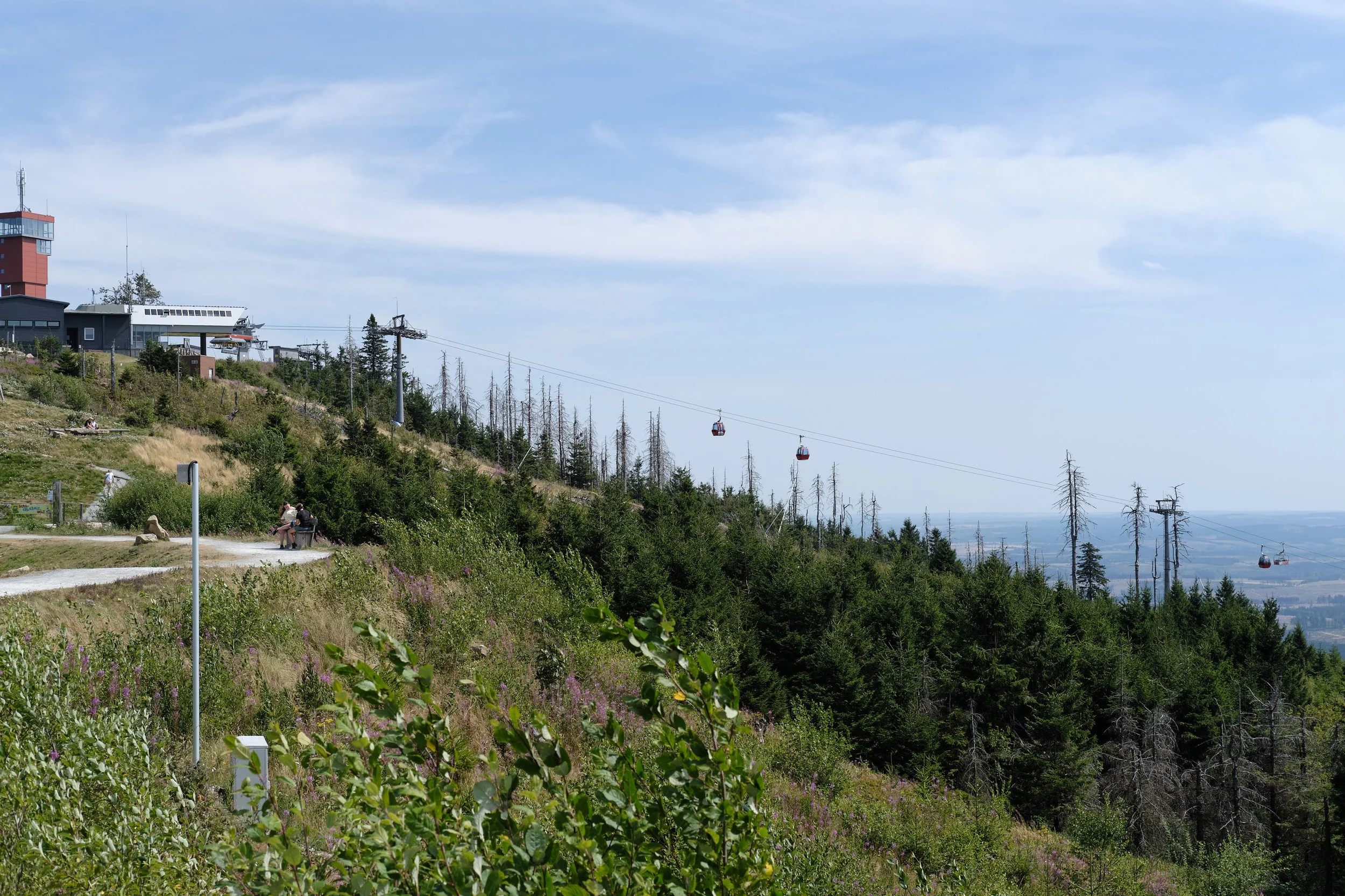 DSCF5620.jpg