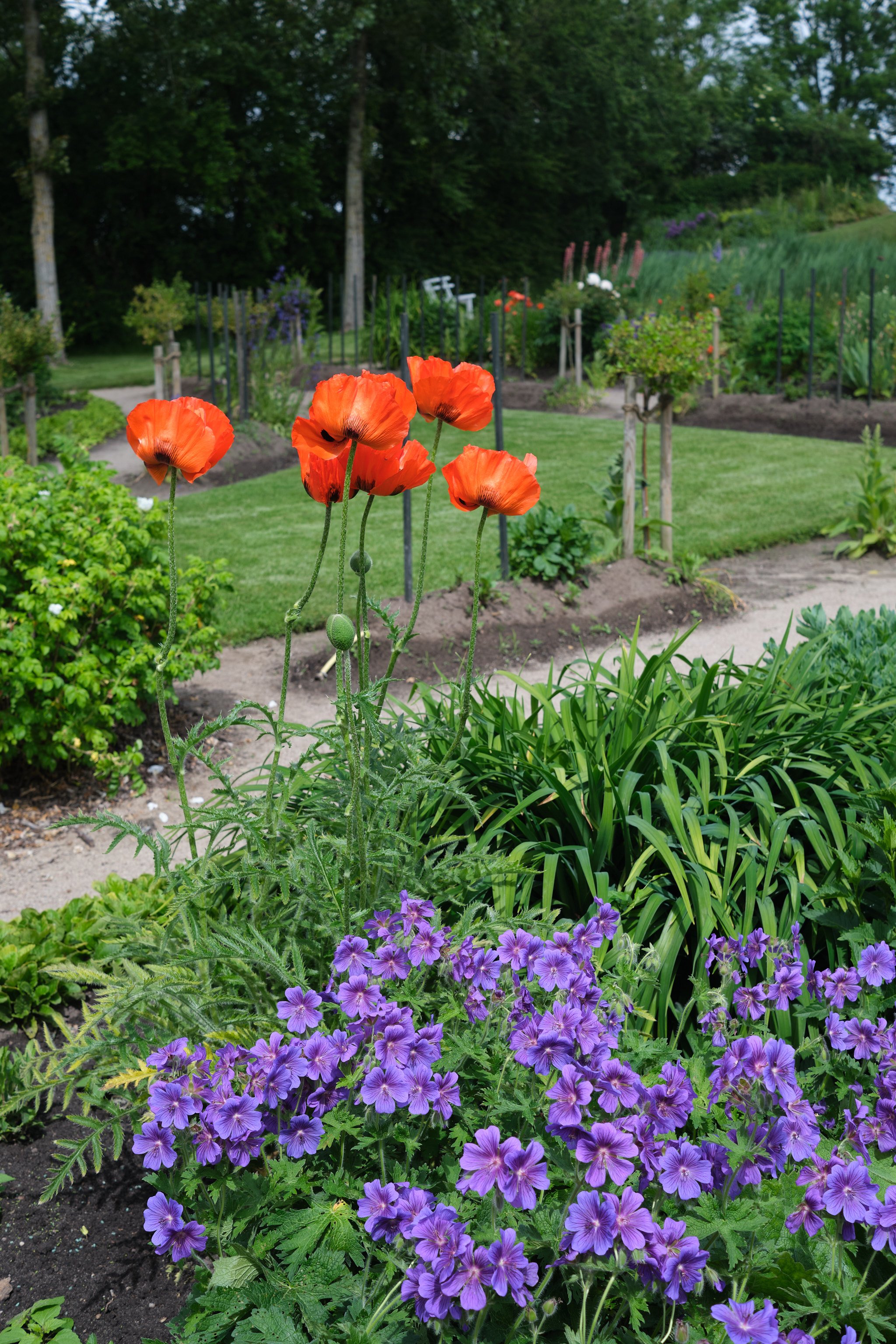 DSCF9402.jpg