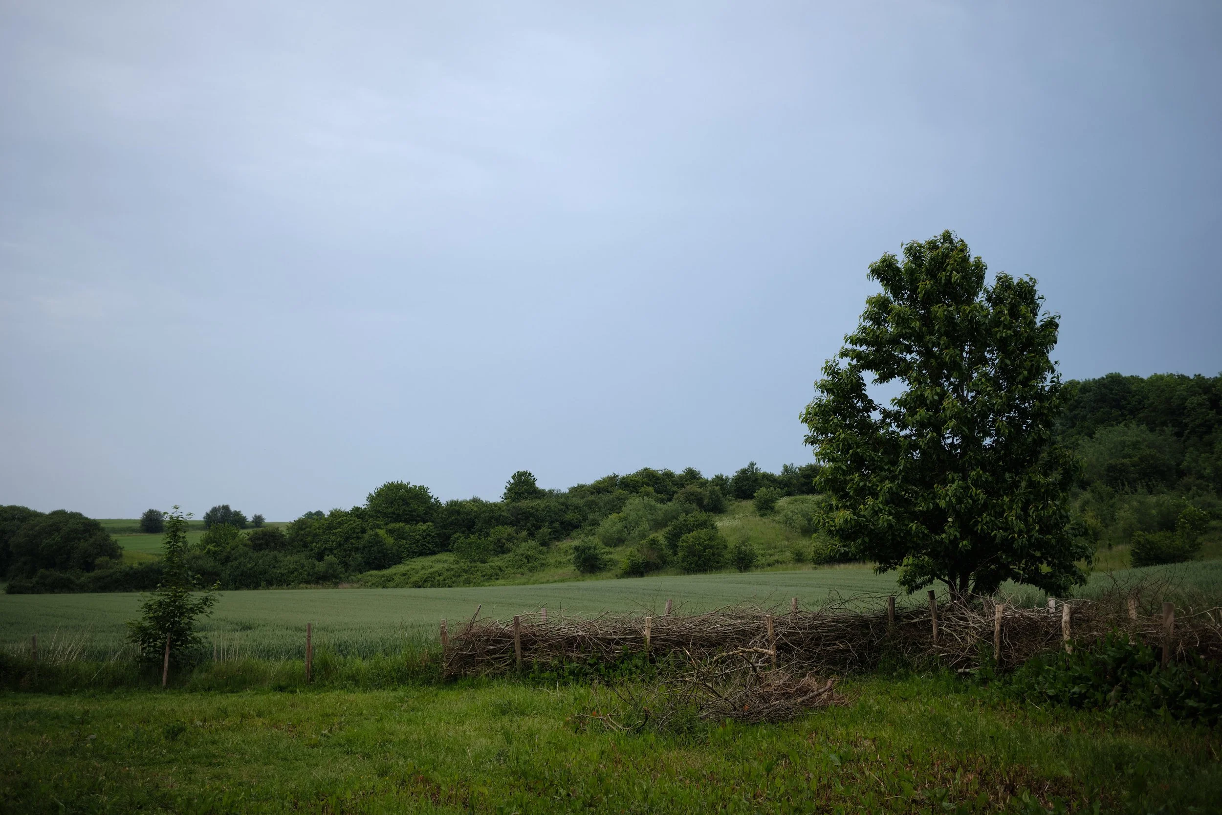 DSCF5461.jpg