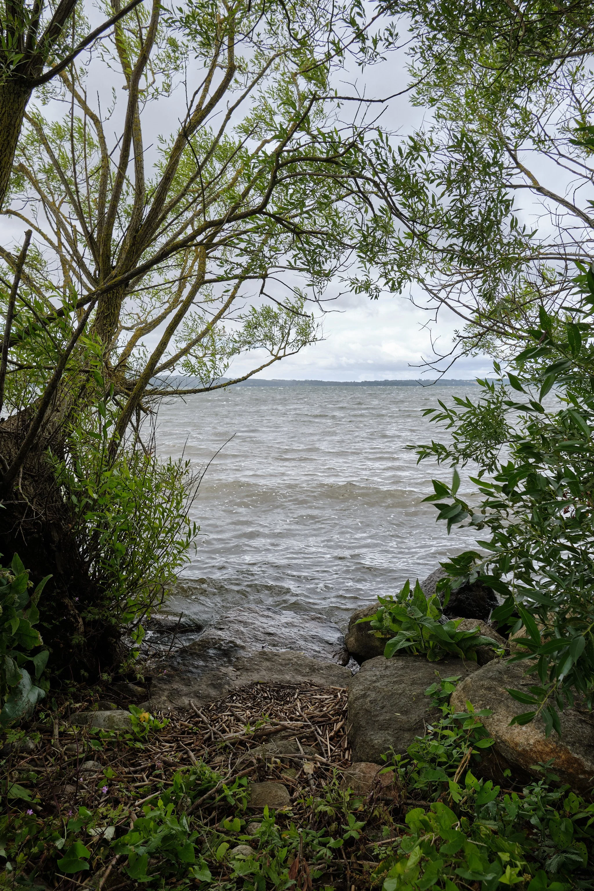 DSCF5499.jpg