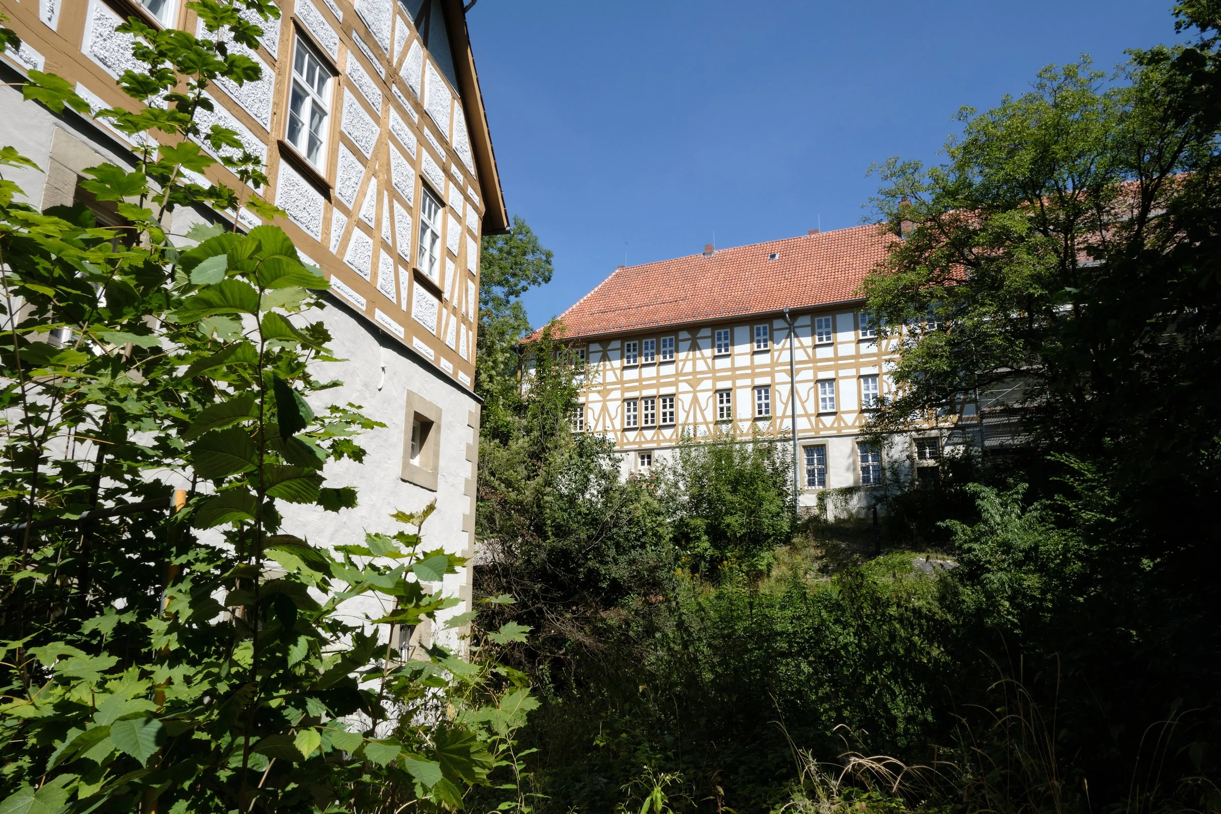 DSCF5719.jpg