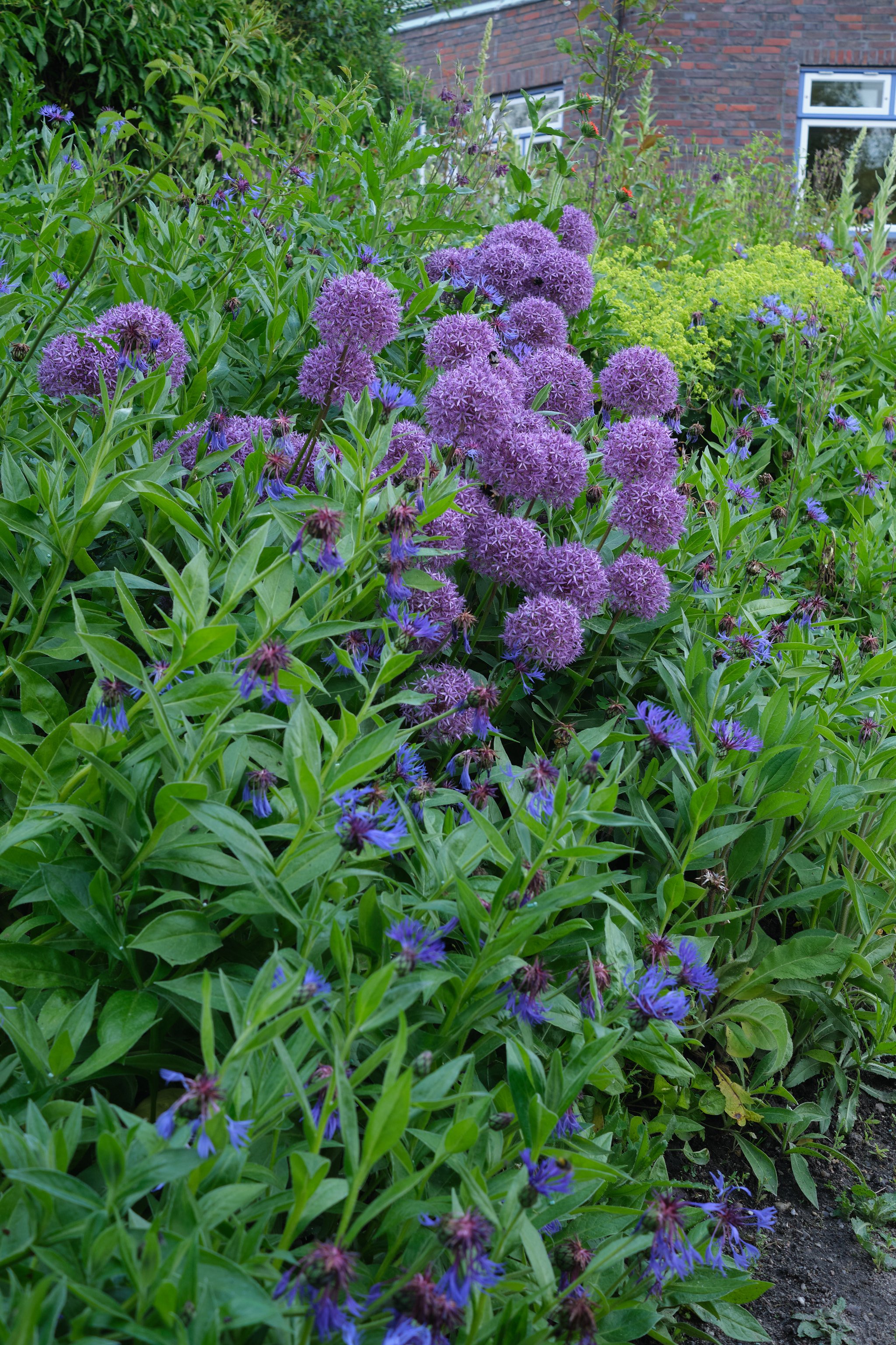 DSCF9407.jpg