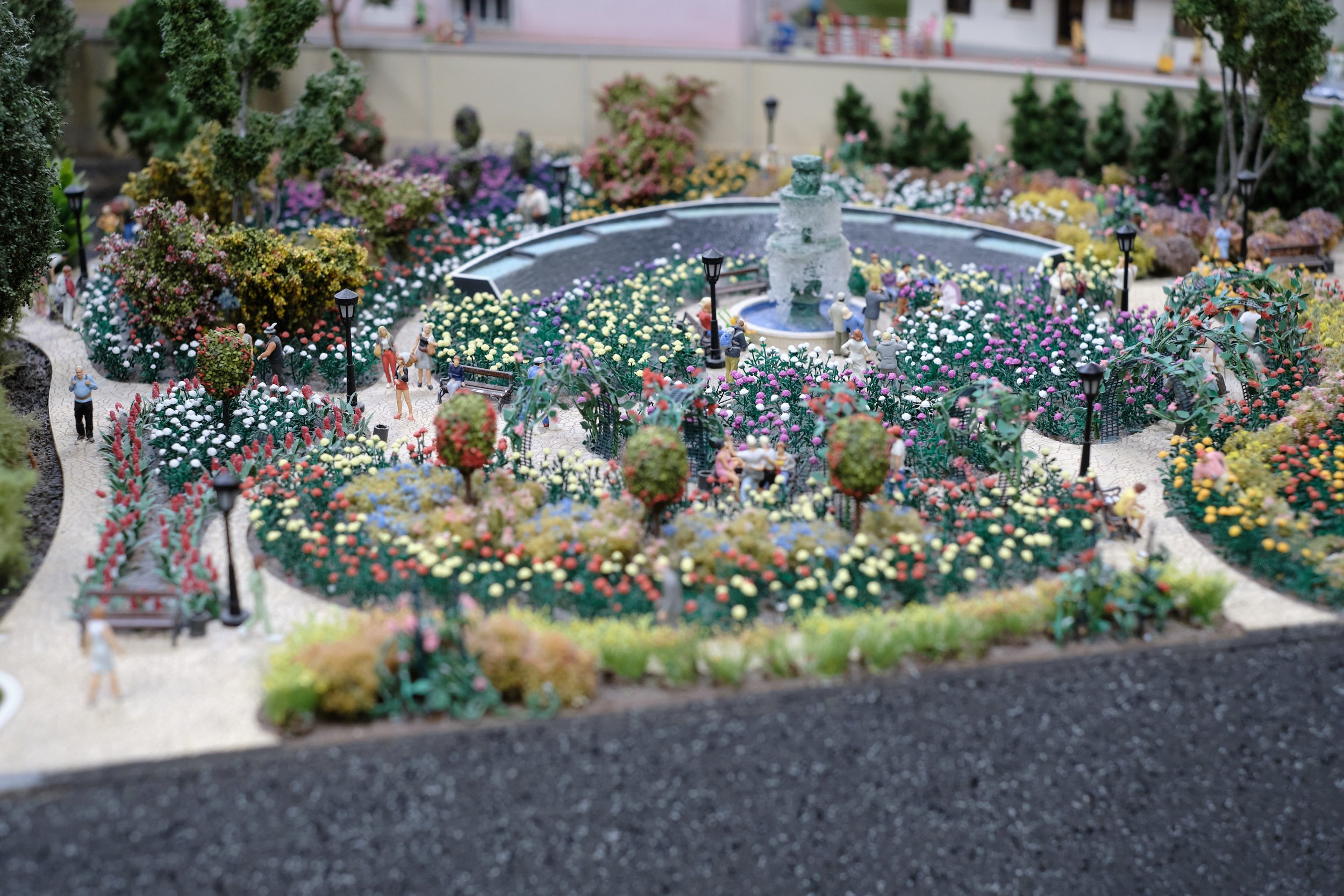DSCF5298.jpg