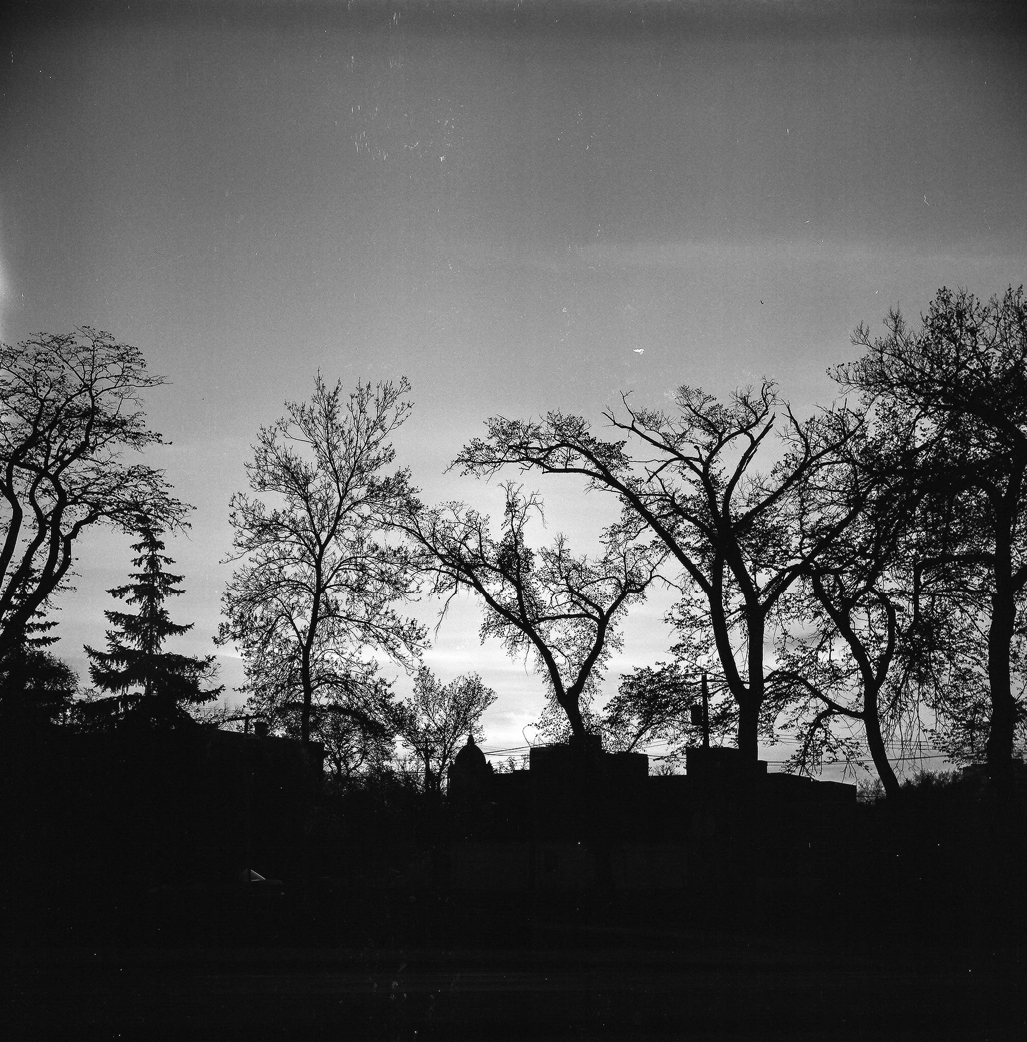 76840009.jpg