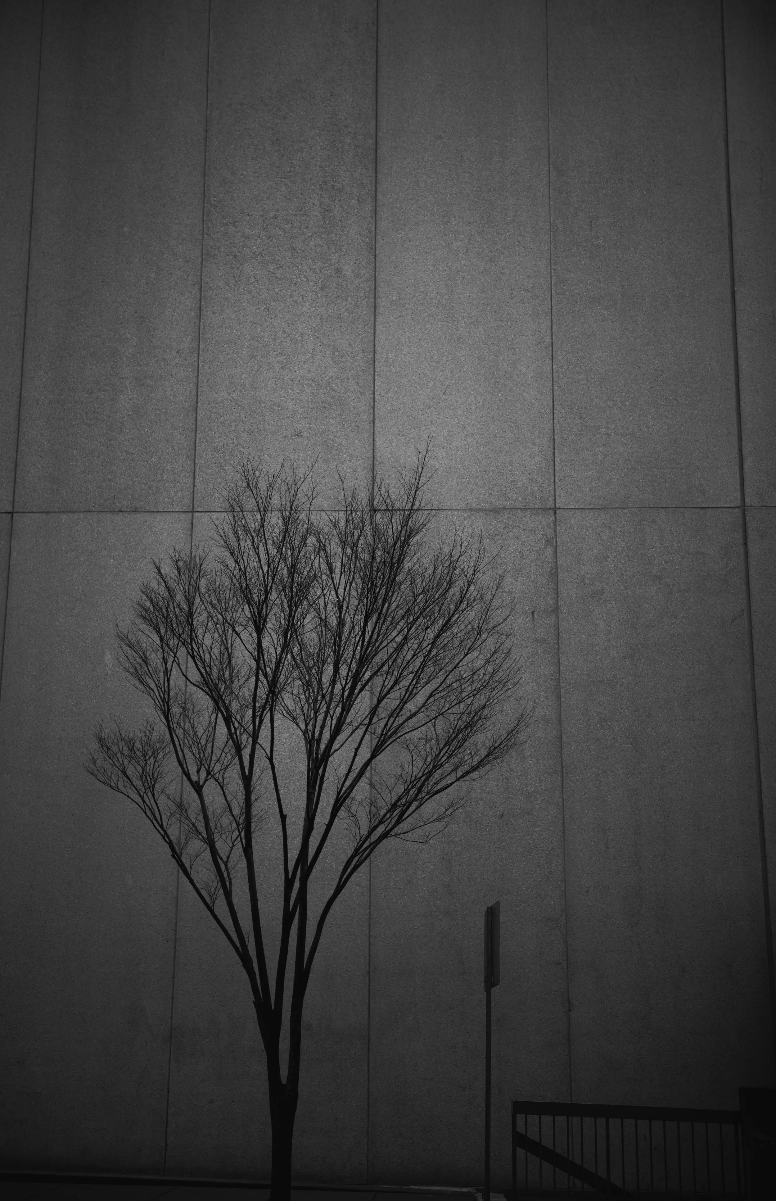 Tree and Concrete
