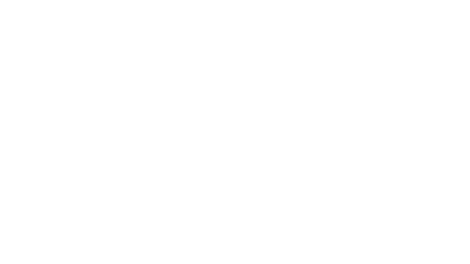 Stylized text in black and white that reads "VISA VINES" with a bubbly, graffiti-like font.