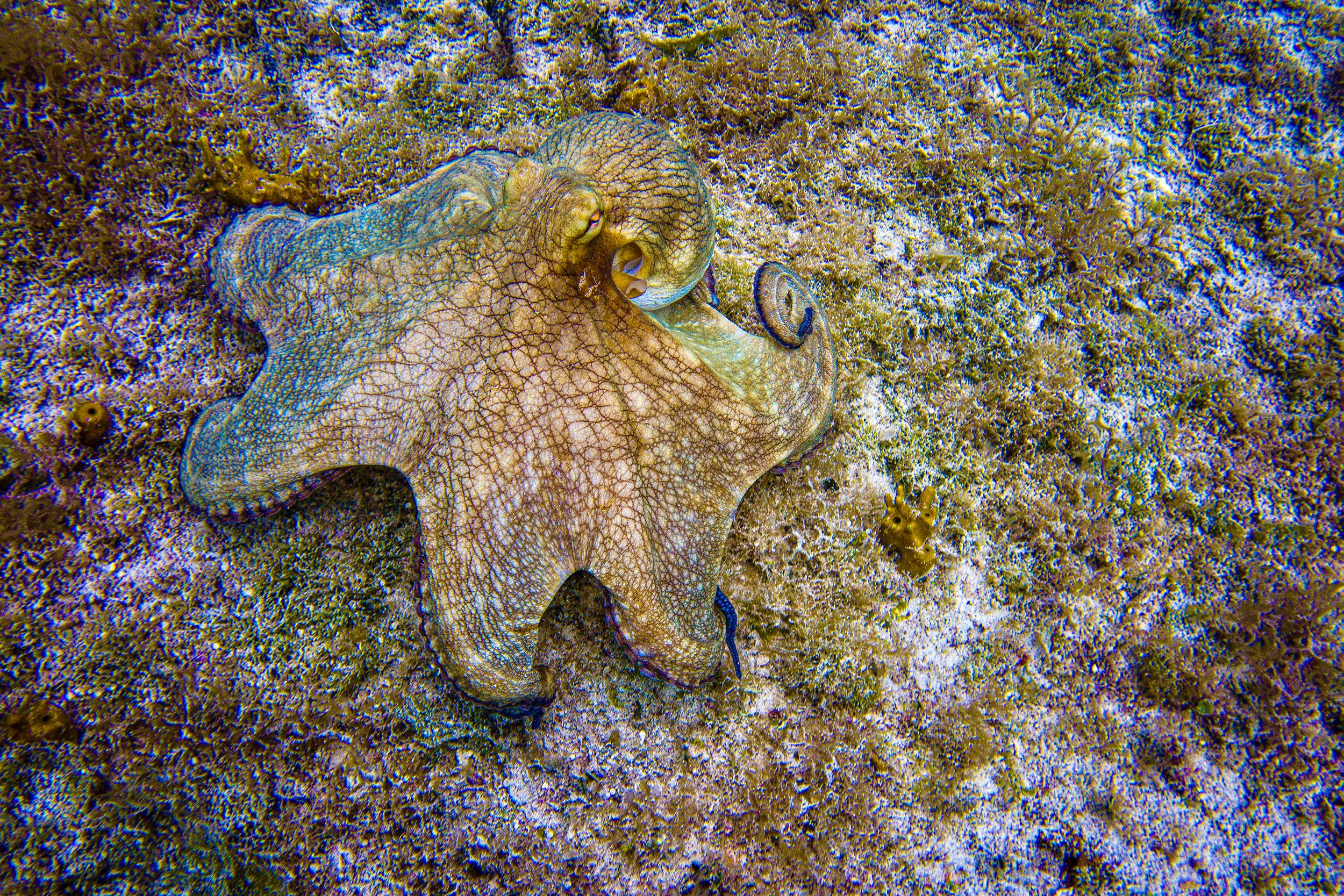 Ray-172@0.3x.jpg