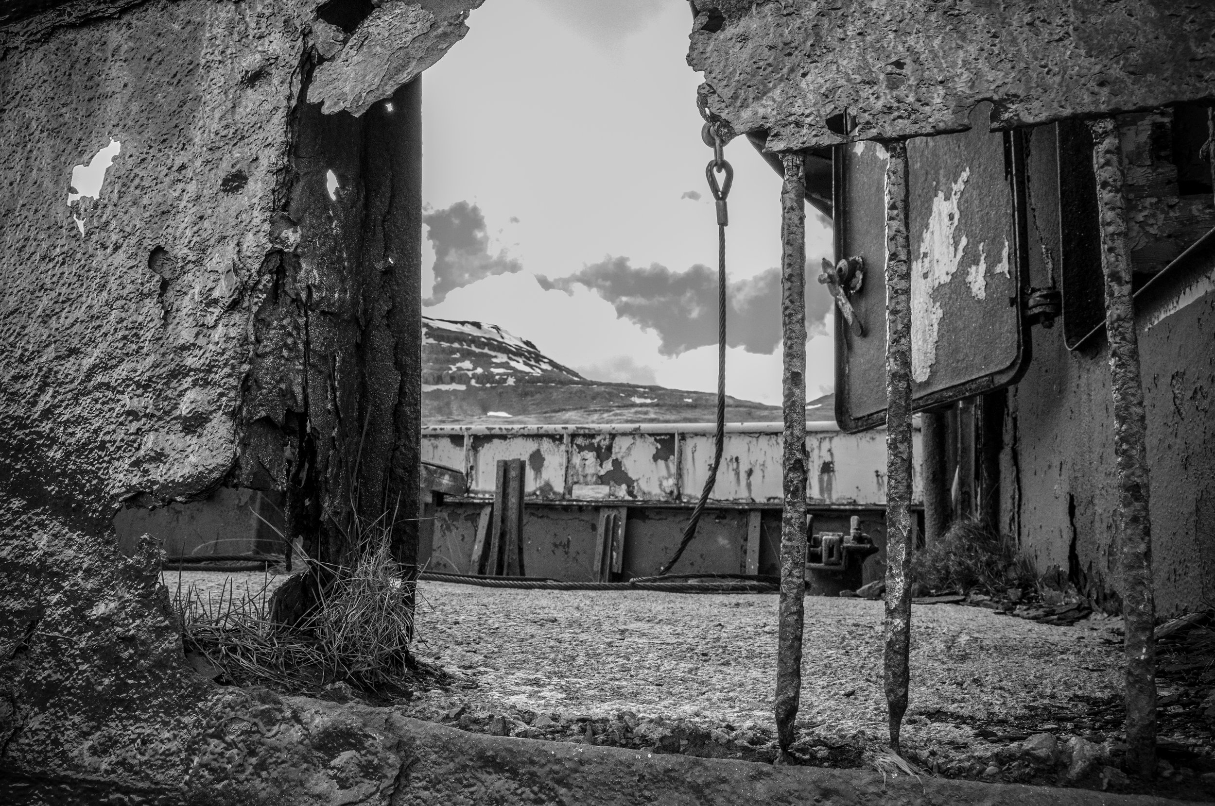 DSC_06151@0.5x.jpg
