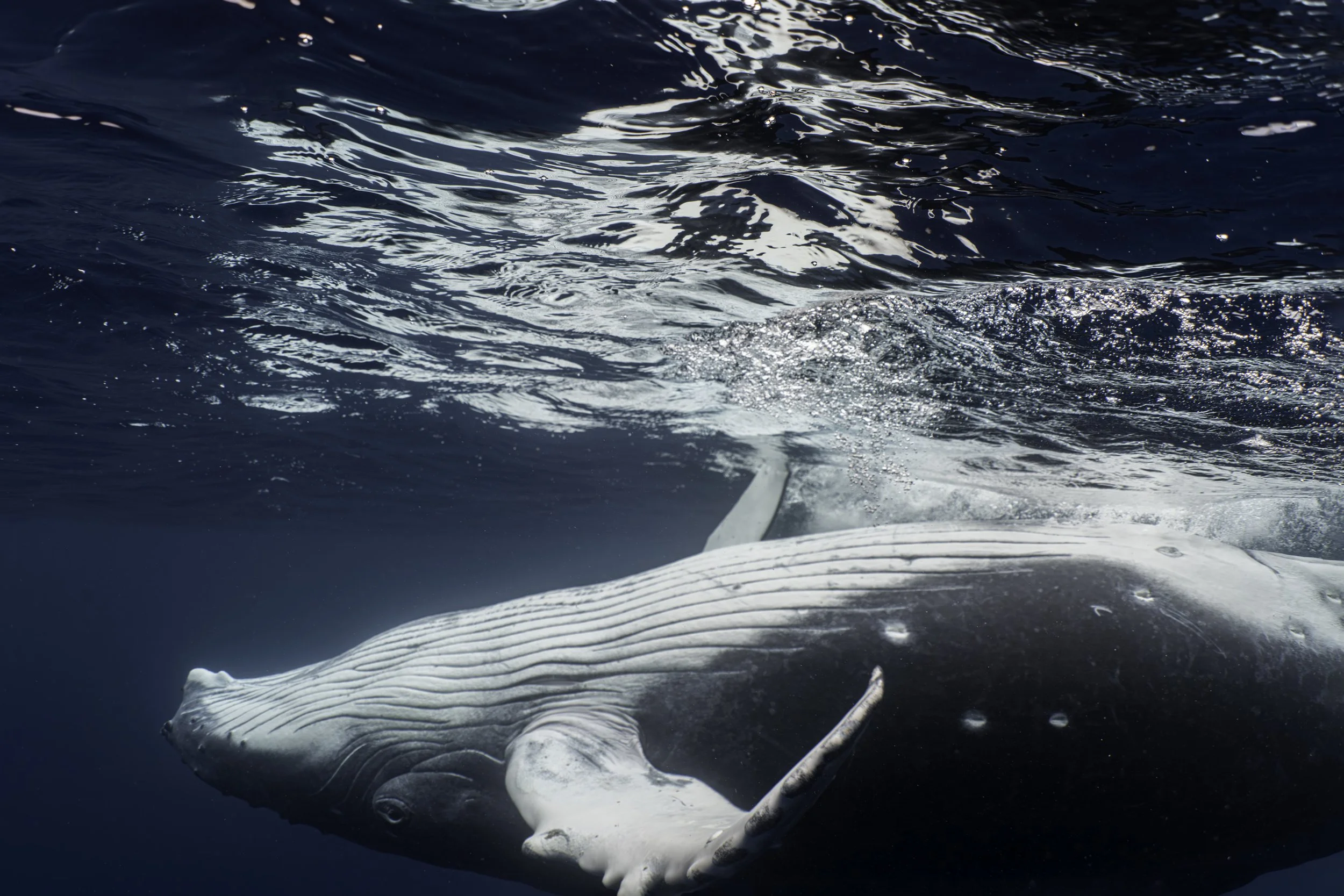 DSC00349-Enhanced-NR-Edit copy 2.JPG