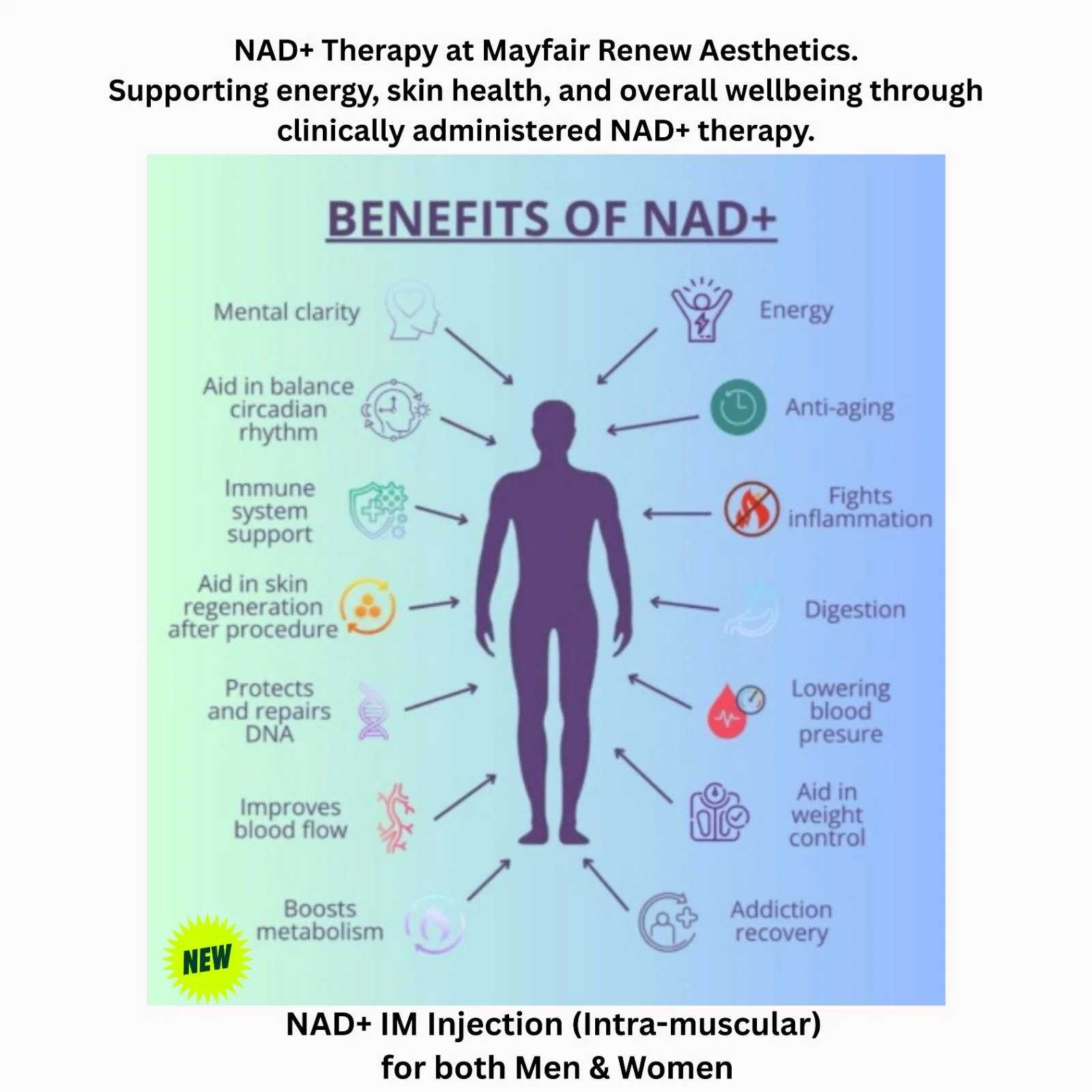 WhatsApp Image 2026-04-16 at 11.57.59.jpeg