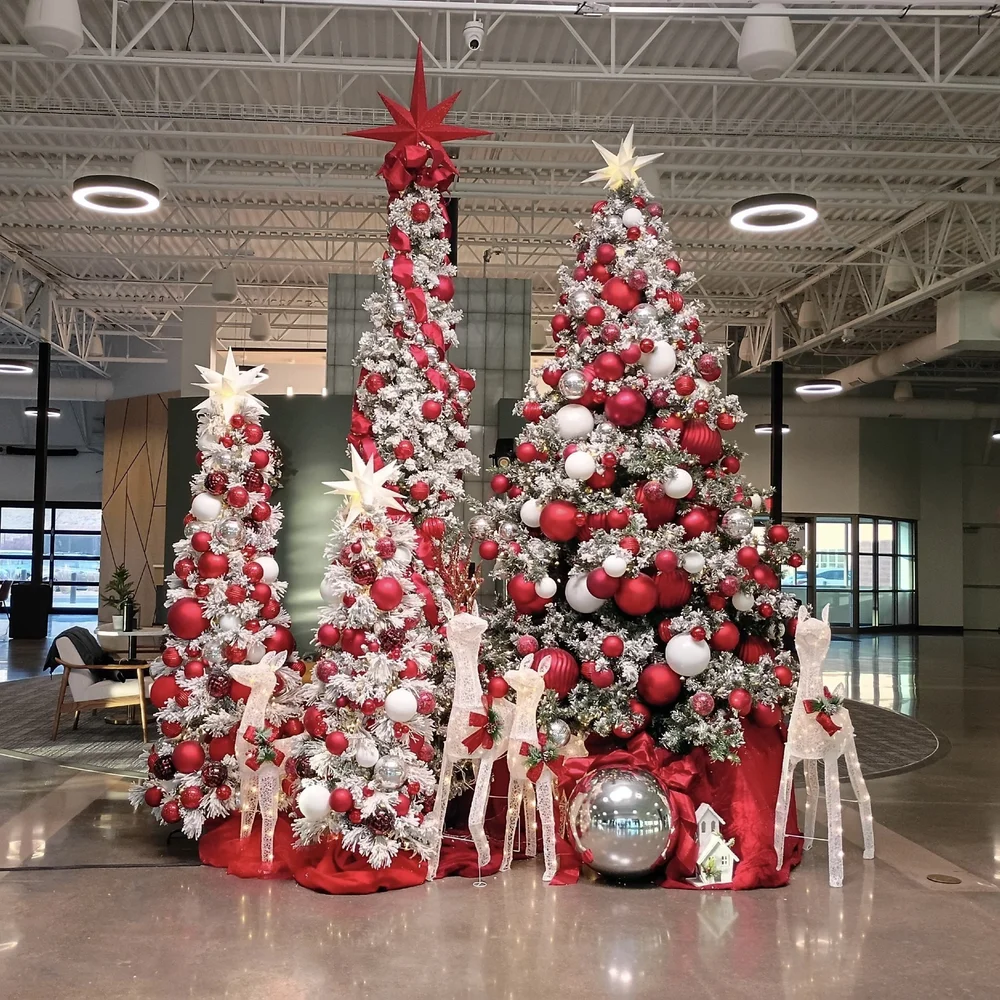 Traditional Red & White.jpeg