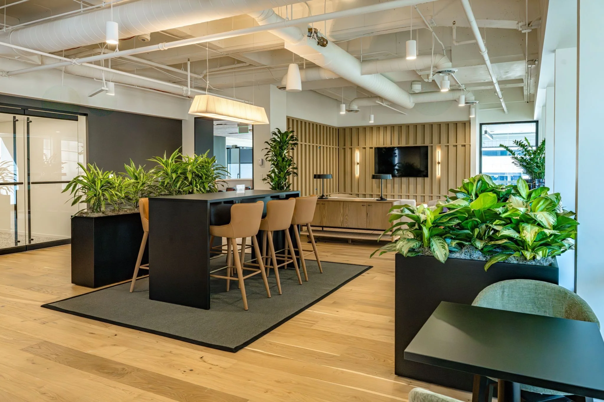 Top Design Trends We’re Watching in Commercial Greenery for 2026