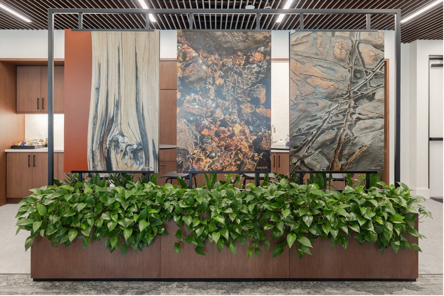 Top Design Trends We’re Watching in Commercial Greenery for 2026