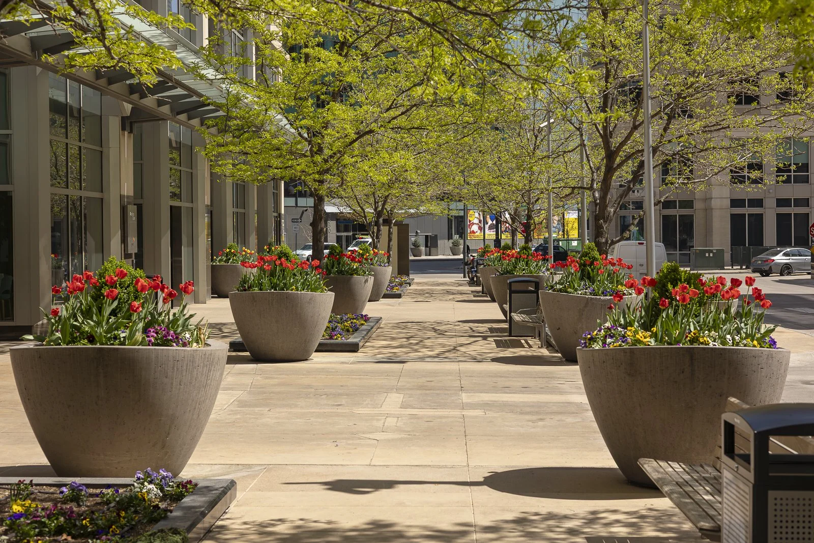 4.15.25 Bristol Botanics-17.jpg