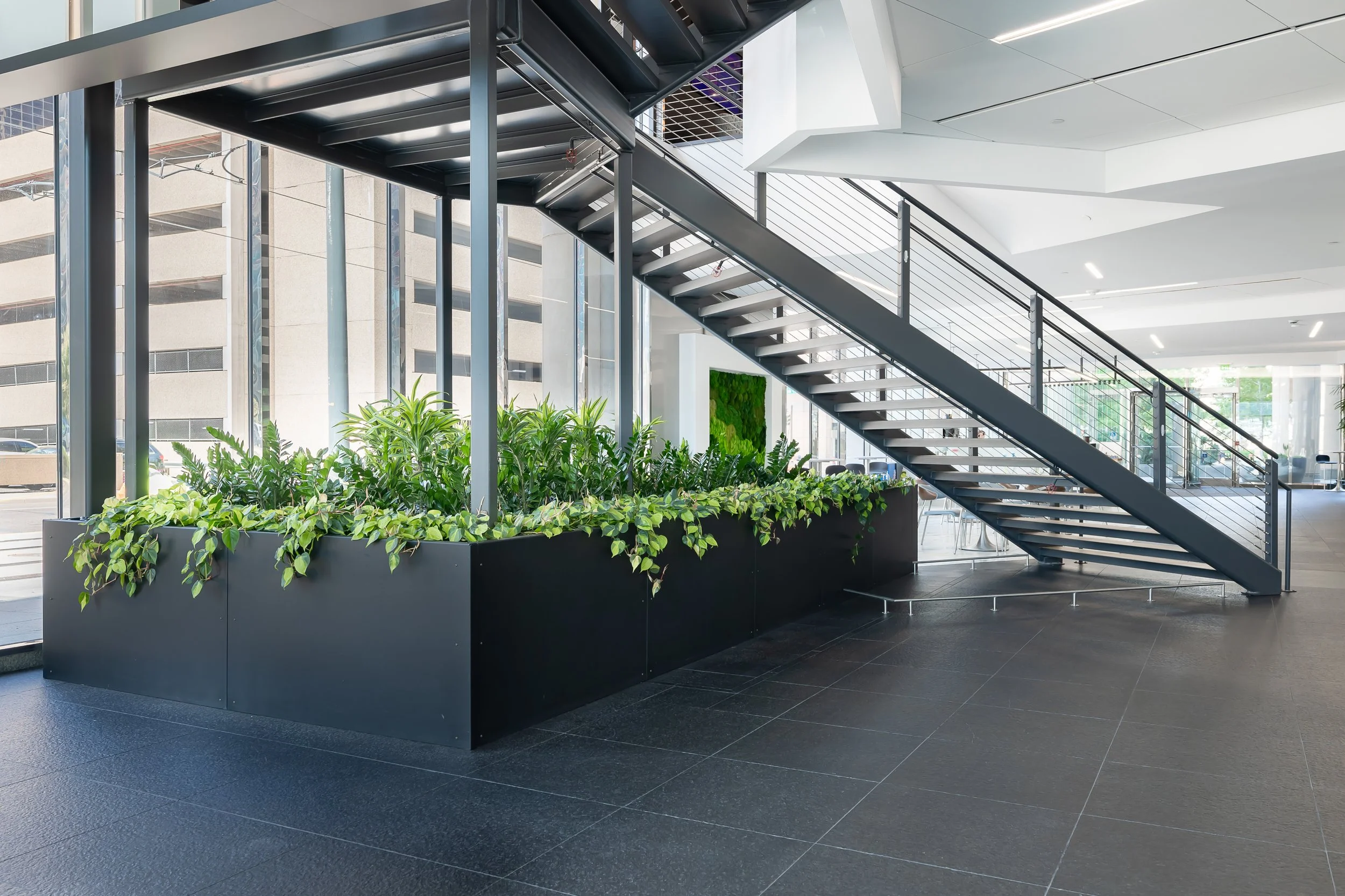 Low-light planter underneath stairwell of an office building.