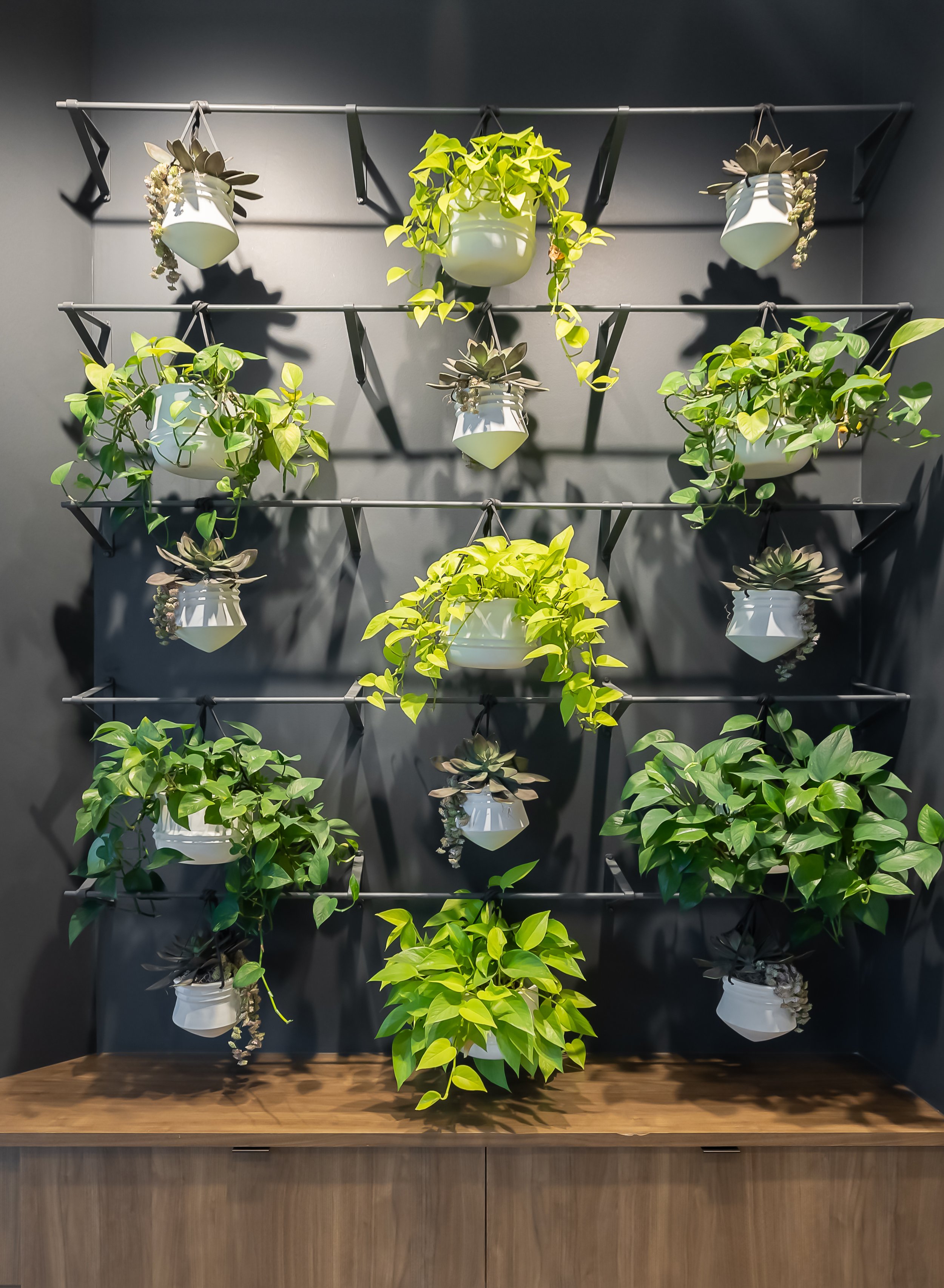 7.16.24 Bristol Botanics-16.jpg