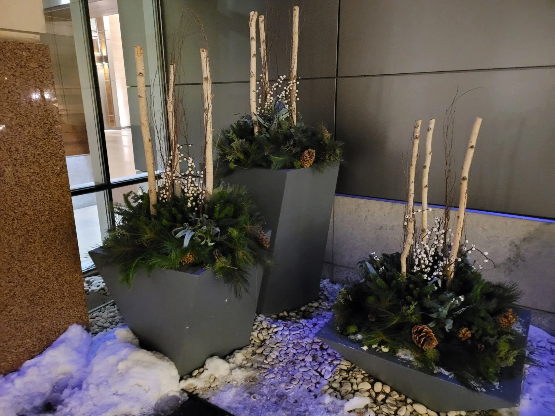 Outdoor winter decorations featuring three large rectangular planters with birch logs, pine branches, pine cones, and white berries. Snow and pebbles surround the planters.