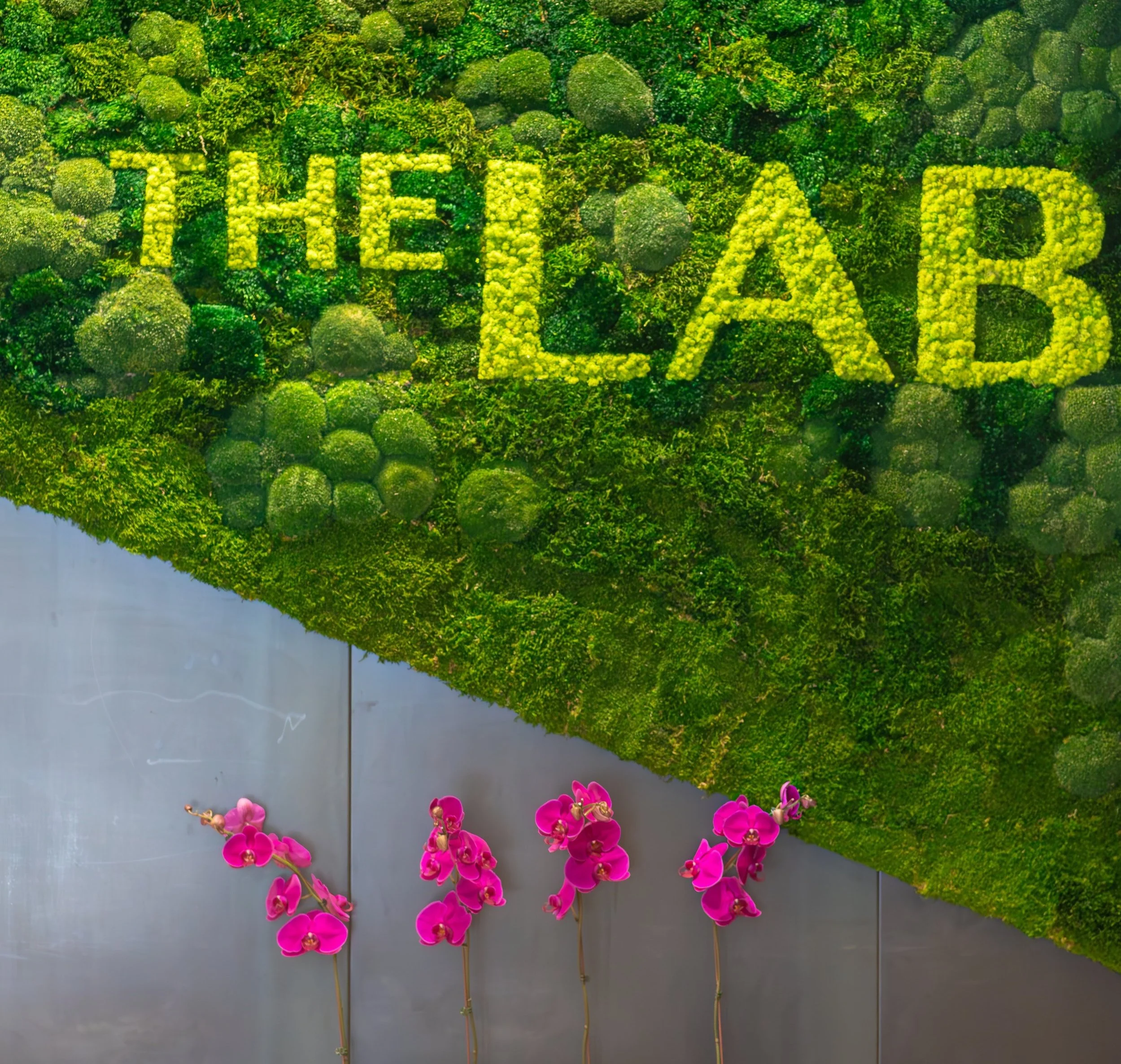 Green moss wall with the text 'THE LAB' and pink orchids below.