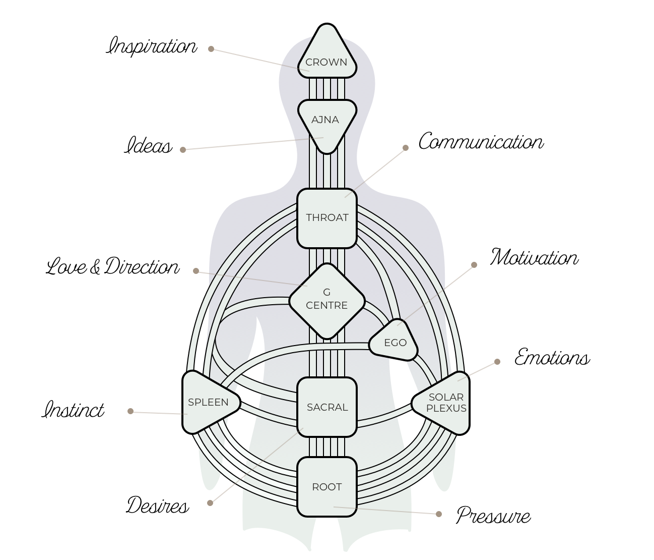 Human Design: Understanding the Five Energy Archetypes