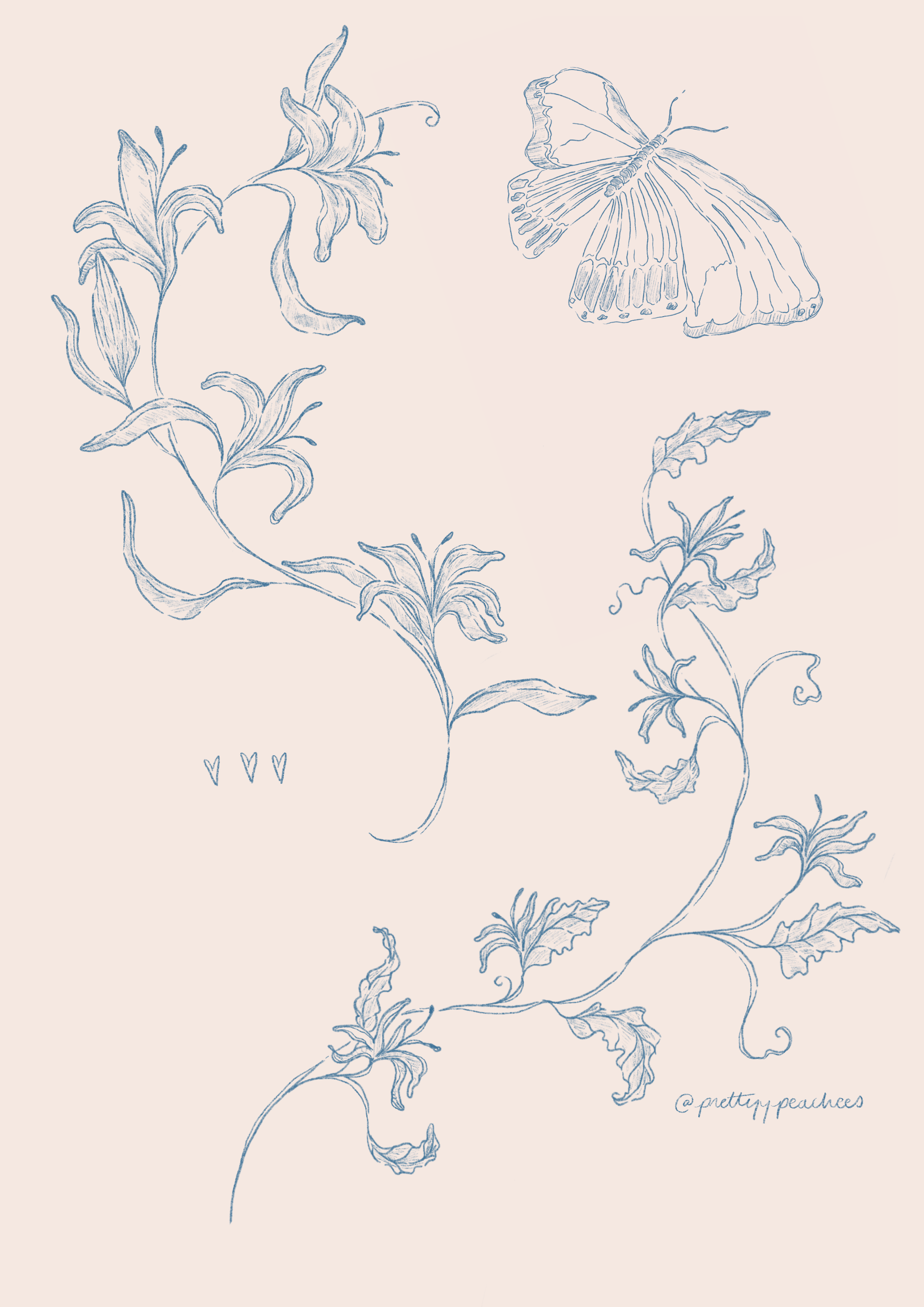 IMG_5960 2.PNG