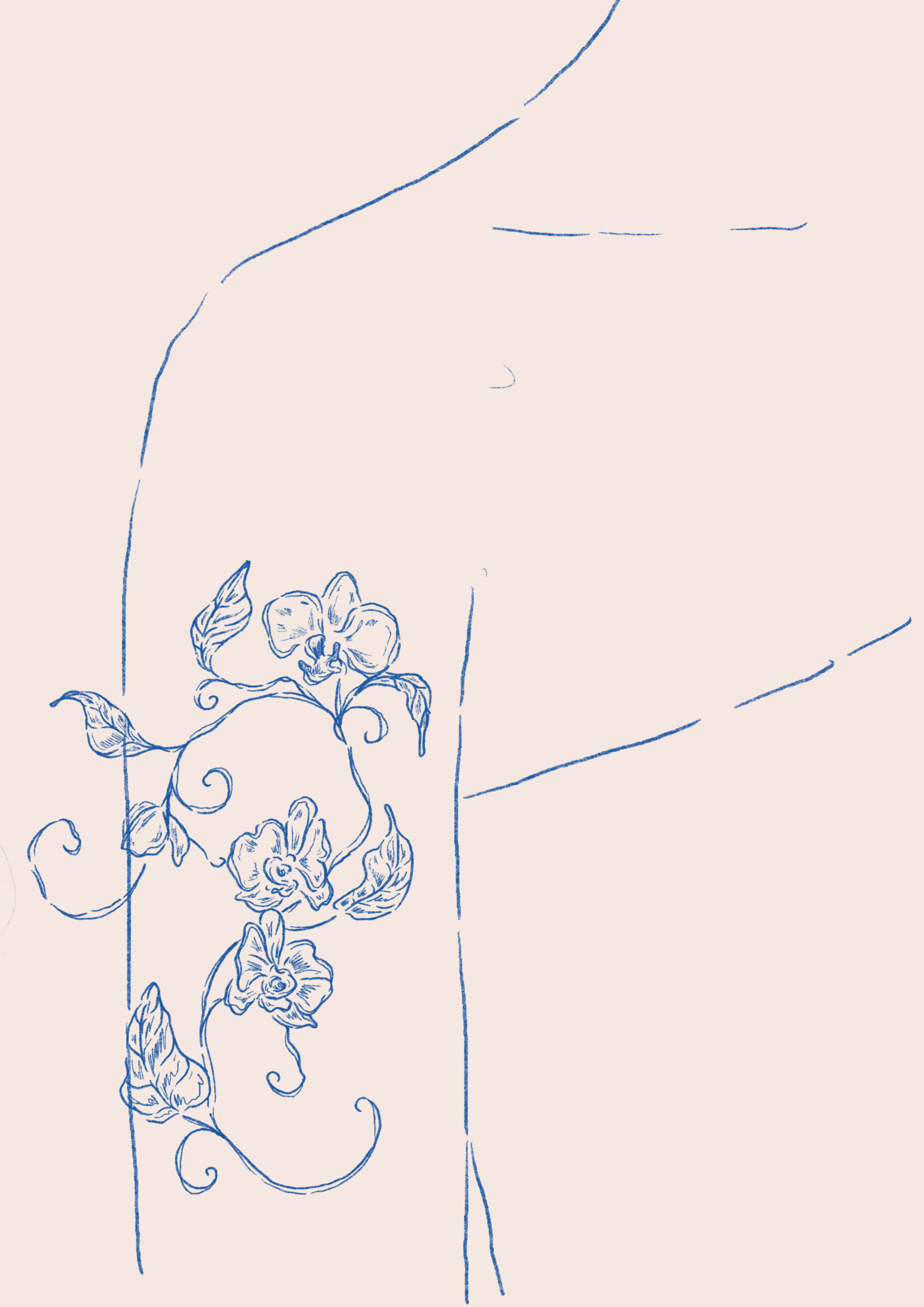 IMG_6327.PNG