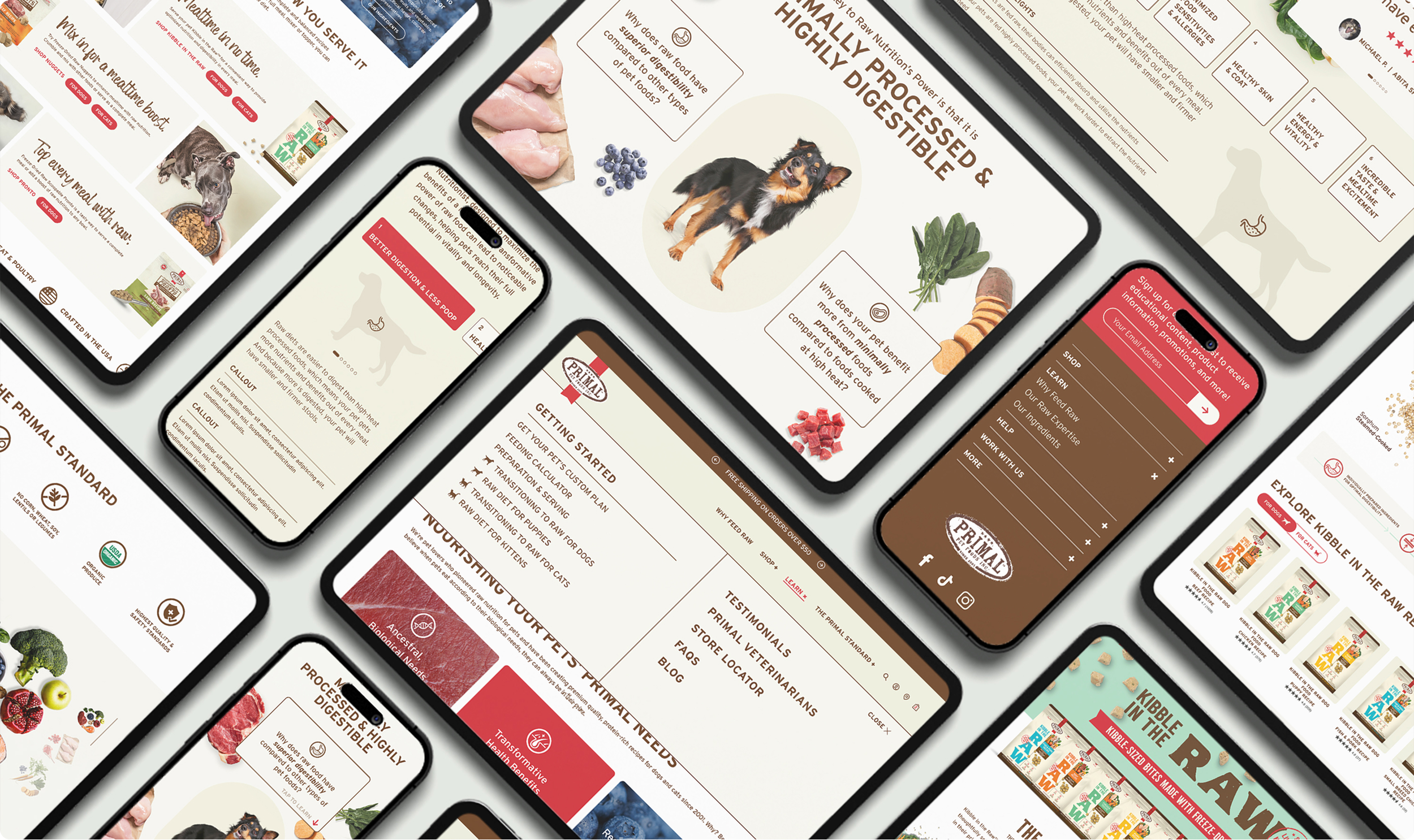 brandguide.jpg.webp