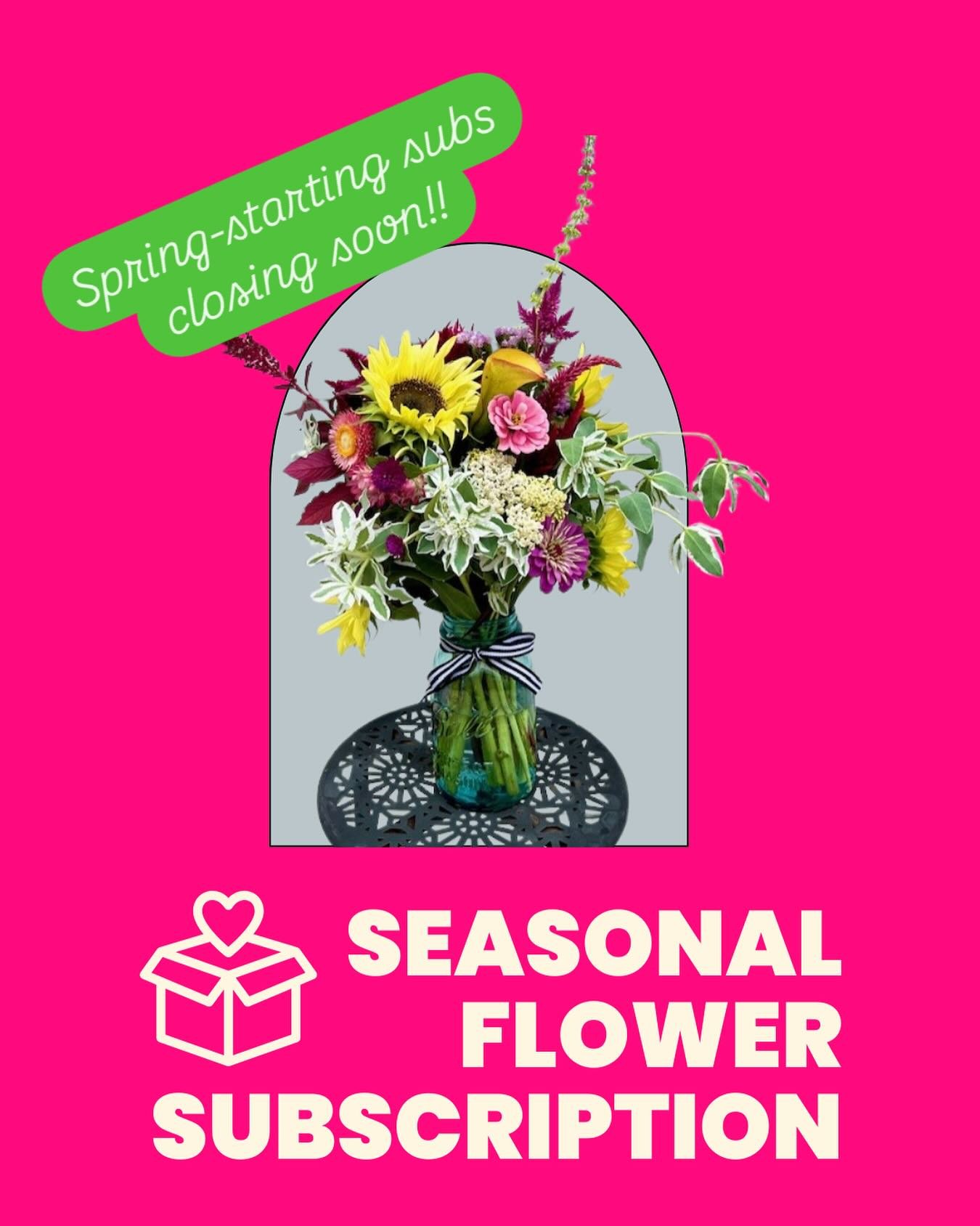 Subs that start in spring are about to close!! Act fast before they’re gone!
#flowercsa #flowersubscription #madison #getyourflowerfix